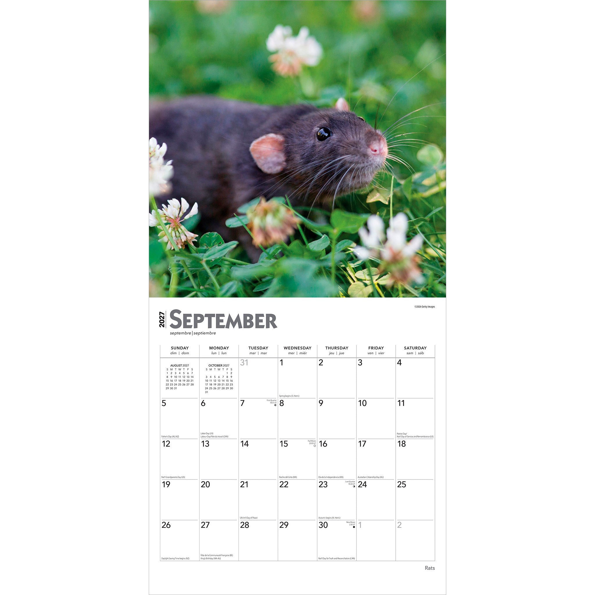 Rats 2027 Wall Calendar