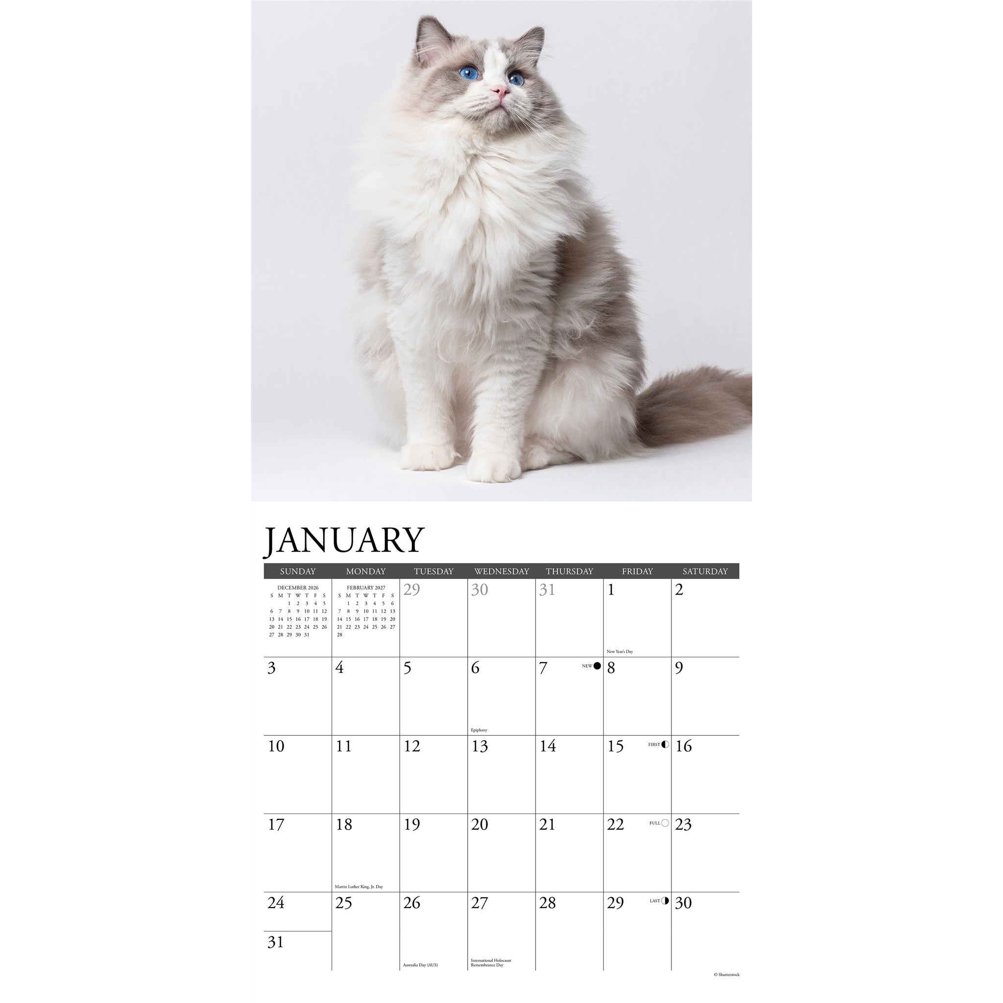 Ragdoll Cats 2027 Wall Calendar