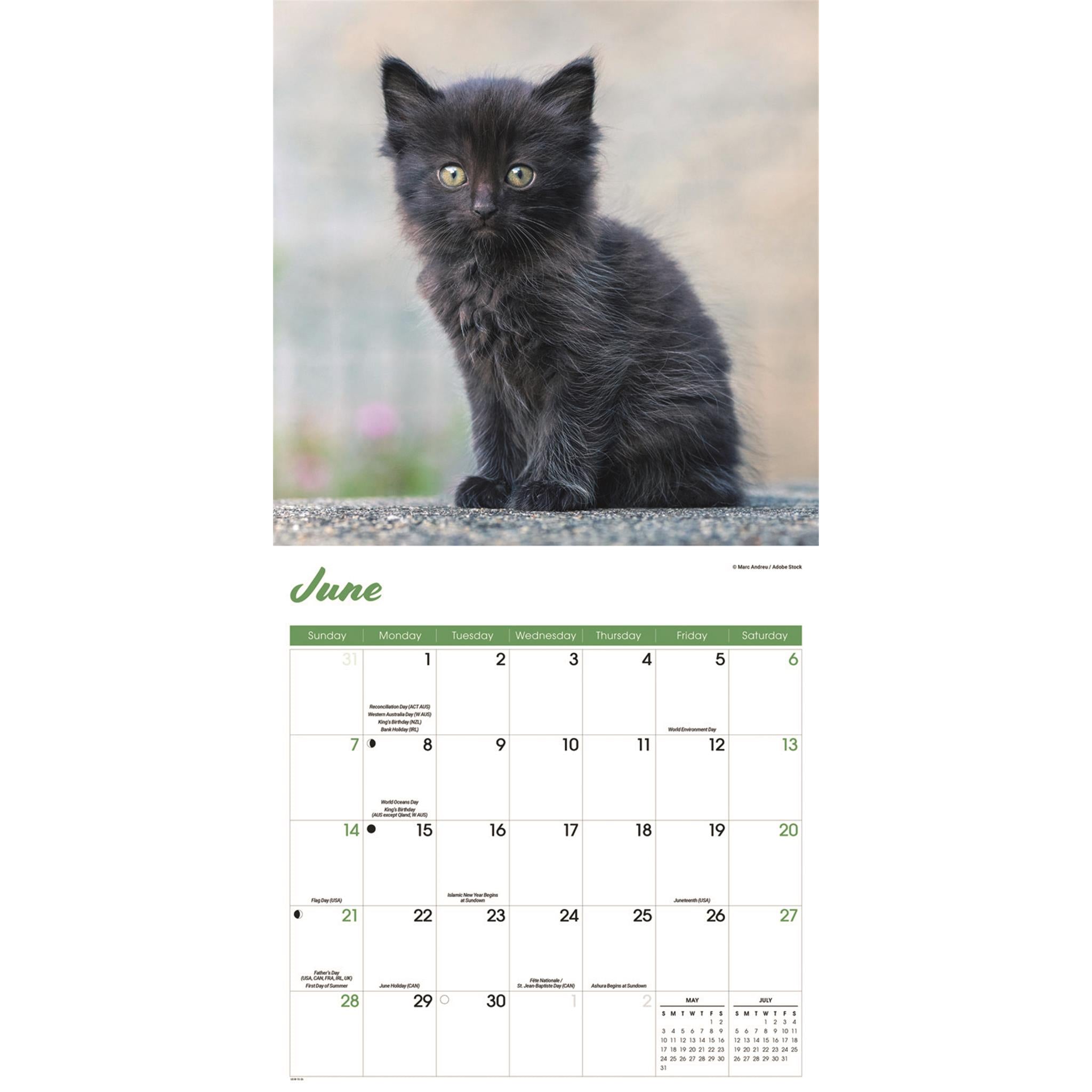 Calendrier mural Chatons noirs 2026
