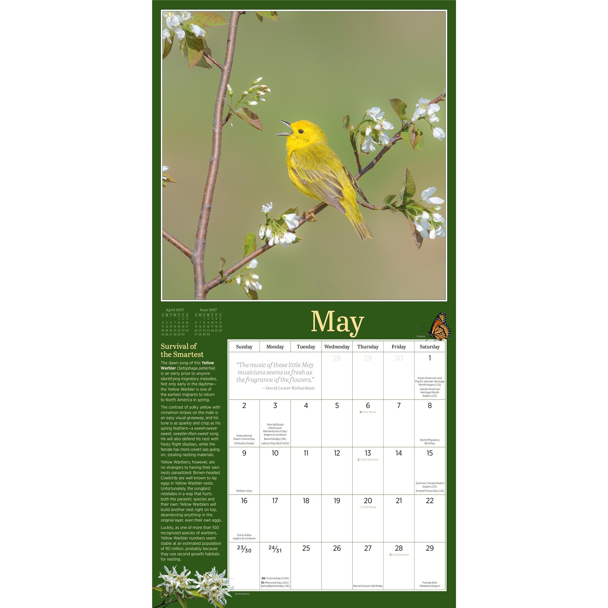 Audubon Birds in the Garden 2027 Wall Calendar