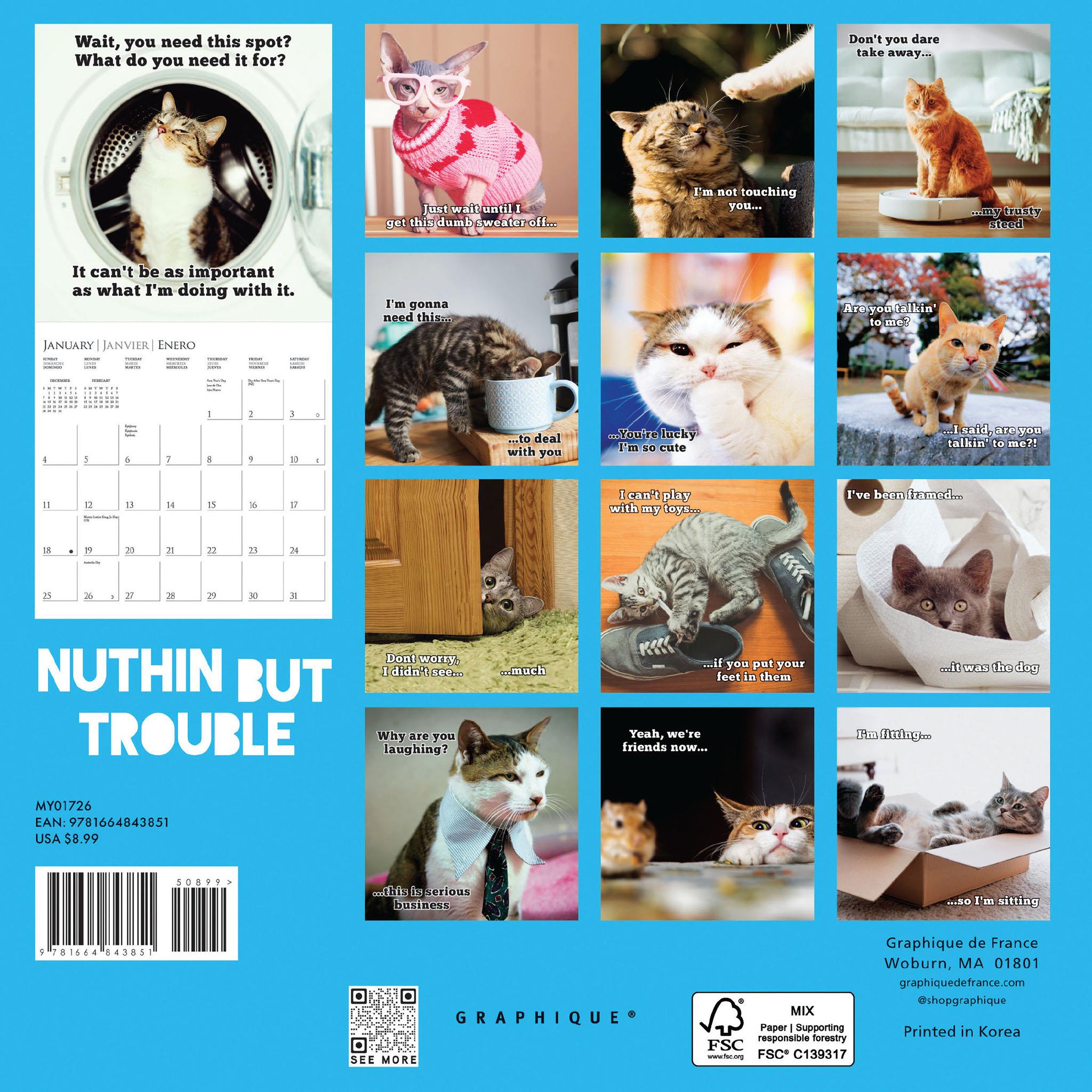 Mini-calendrier 2026 « Rien que des ennuis » - Disponible uniquement en ligne