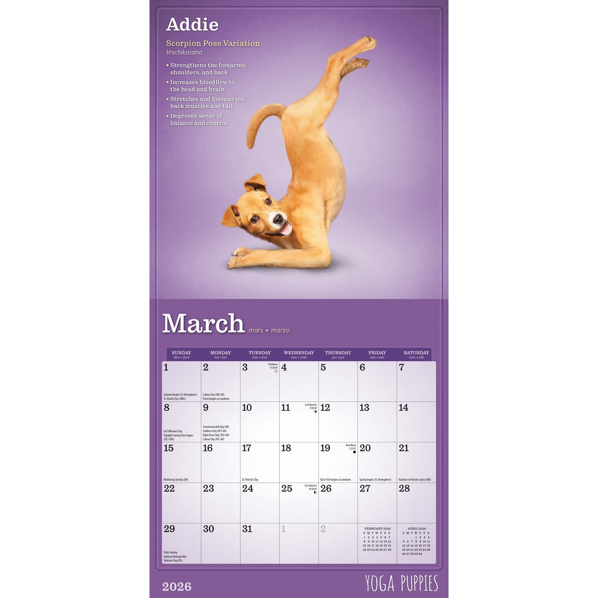 Mini calendrier Yoga Puppies 2026