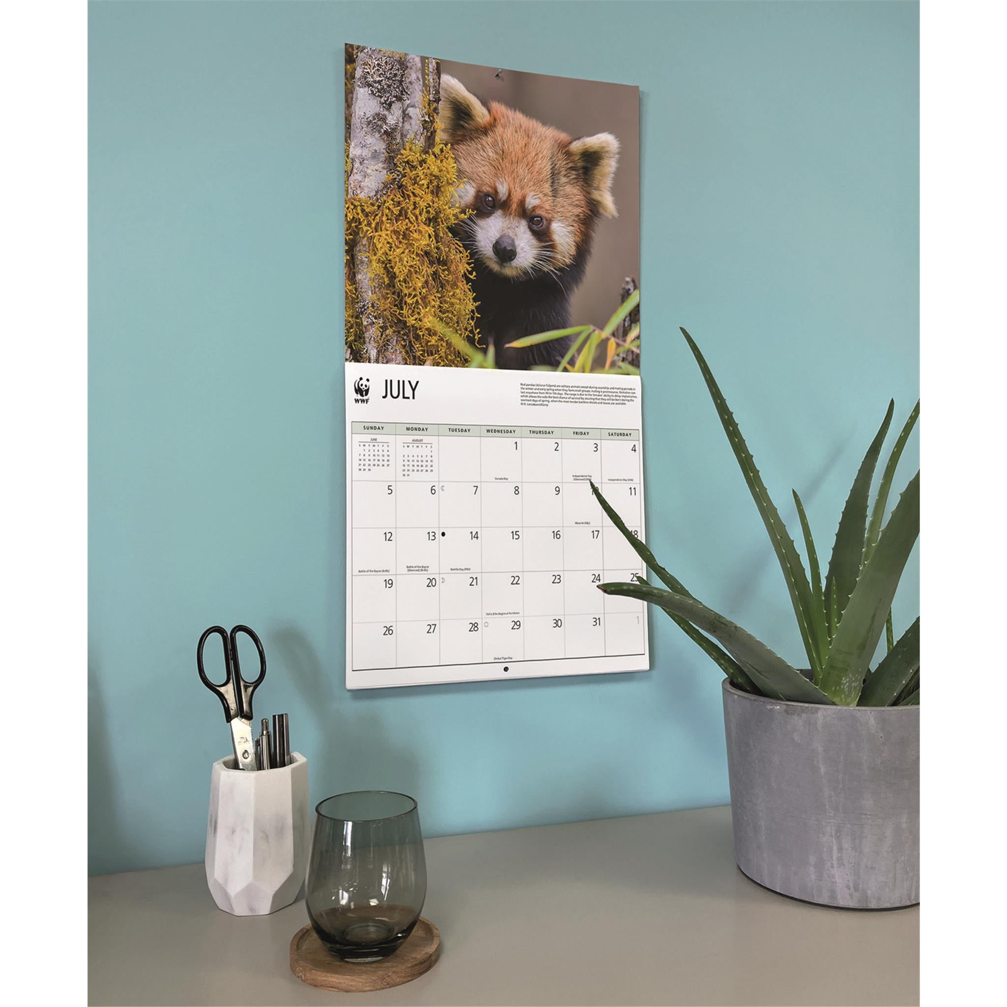 Calendrier mural 2026 du Fonds mondial pour la nature (WWF) sur les pandas roux