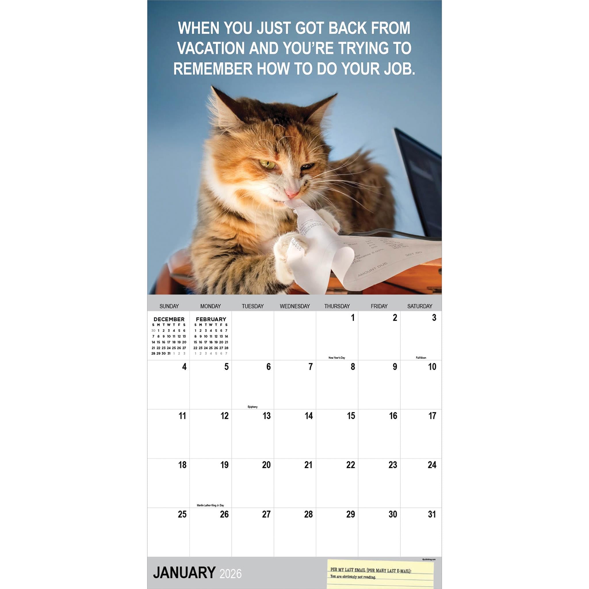 Calendrier mural Corporate Cats 2026