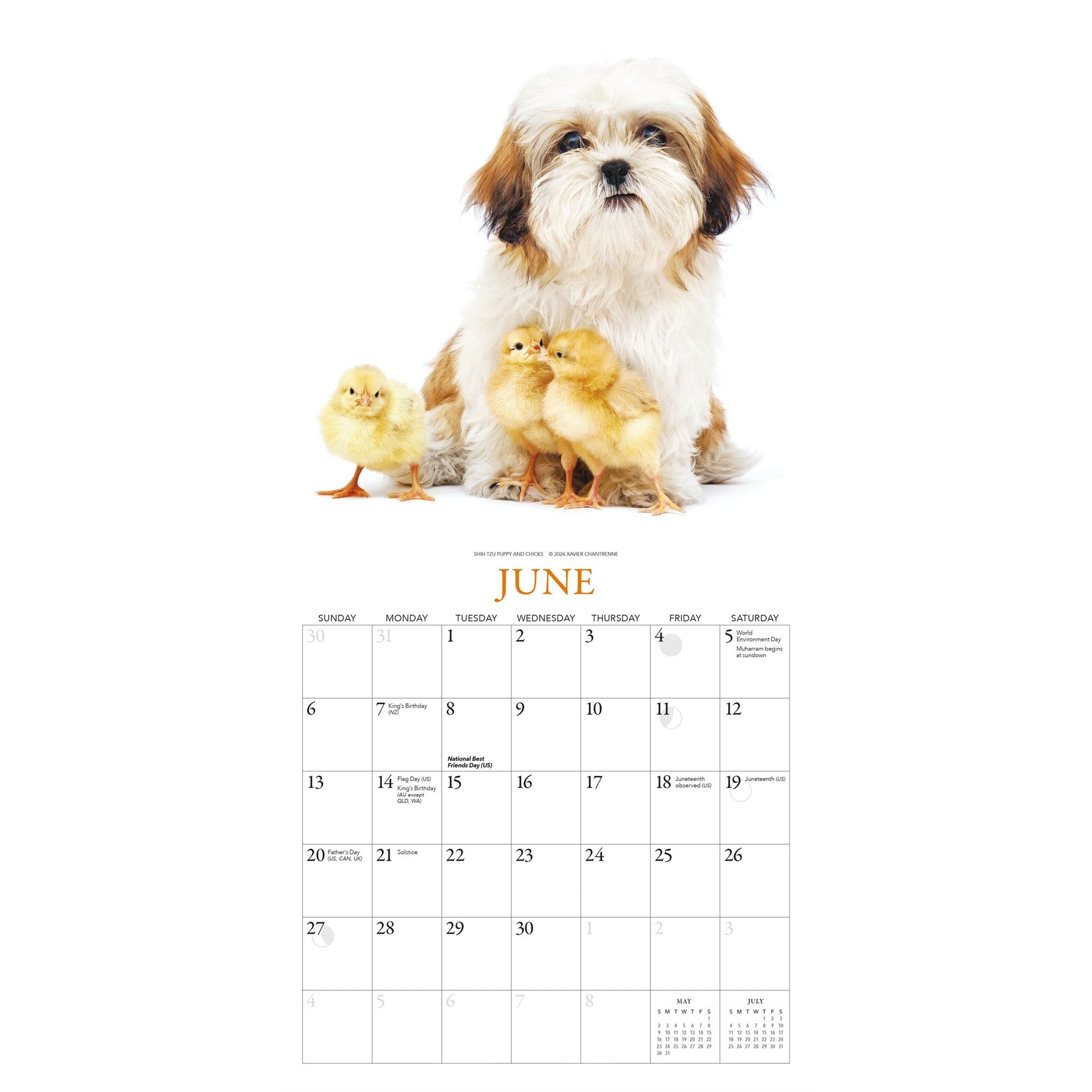Mini-calendrier Chiots et amis 2027
