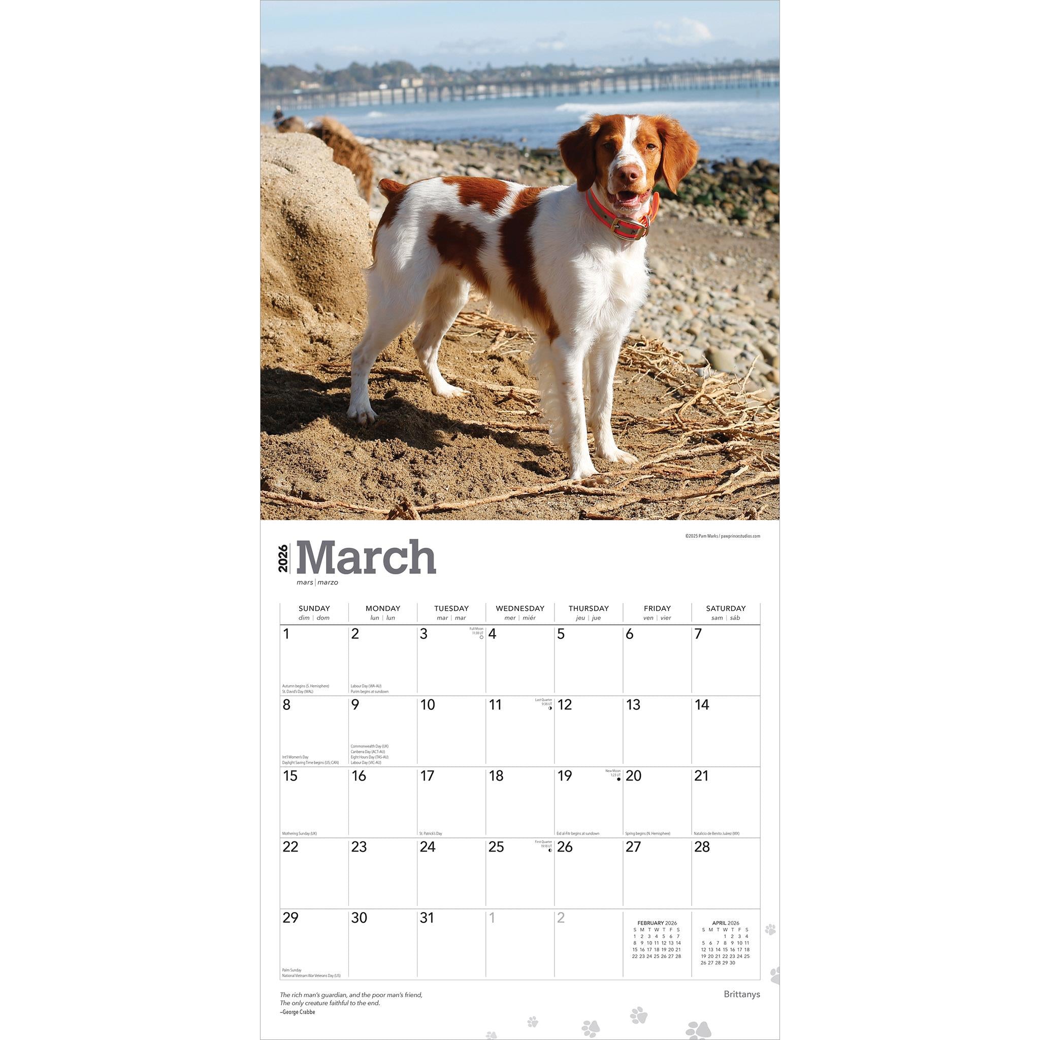 Brittanys 2026 Wall Calendar - Online Only