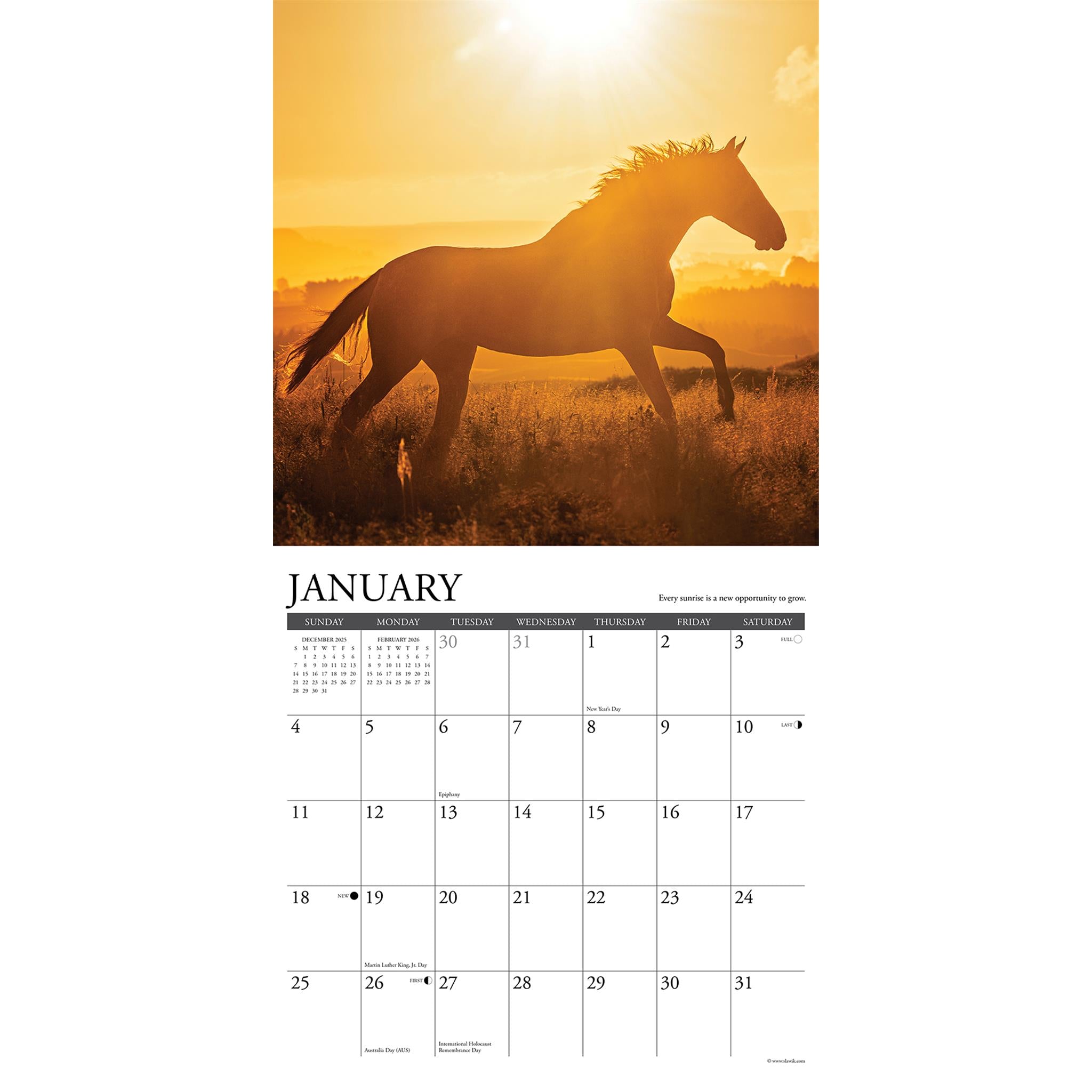 What Horses Teach Us 2026 Wall Calendar