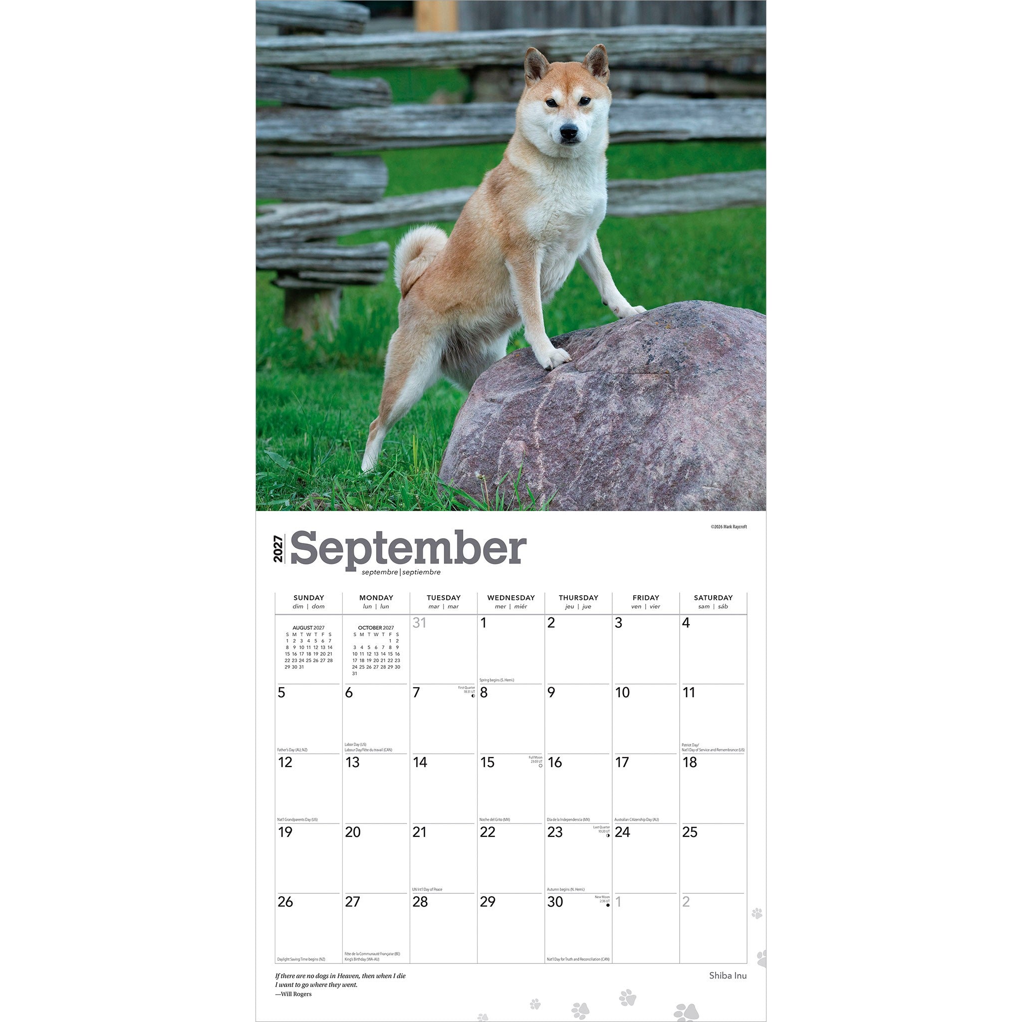 Shiba Inu 2027 Wall Calendar - Online Only