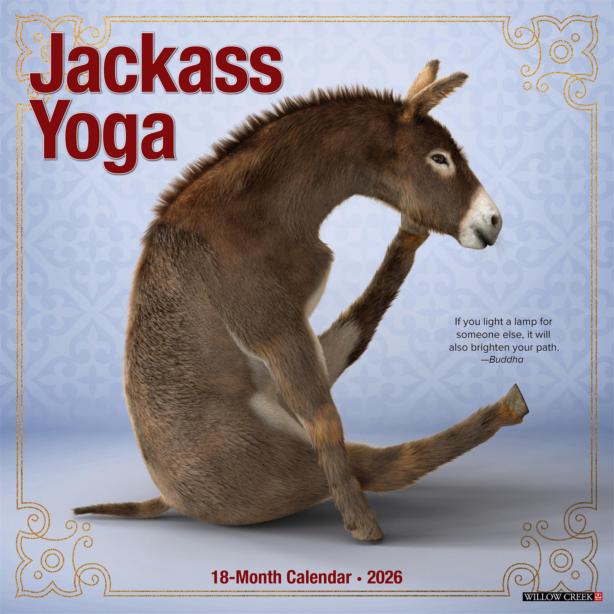 Calendrier mural Jackass Yoga 2026