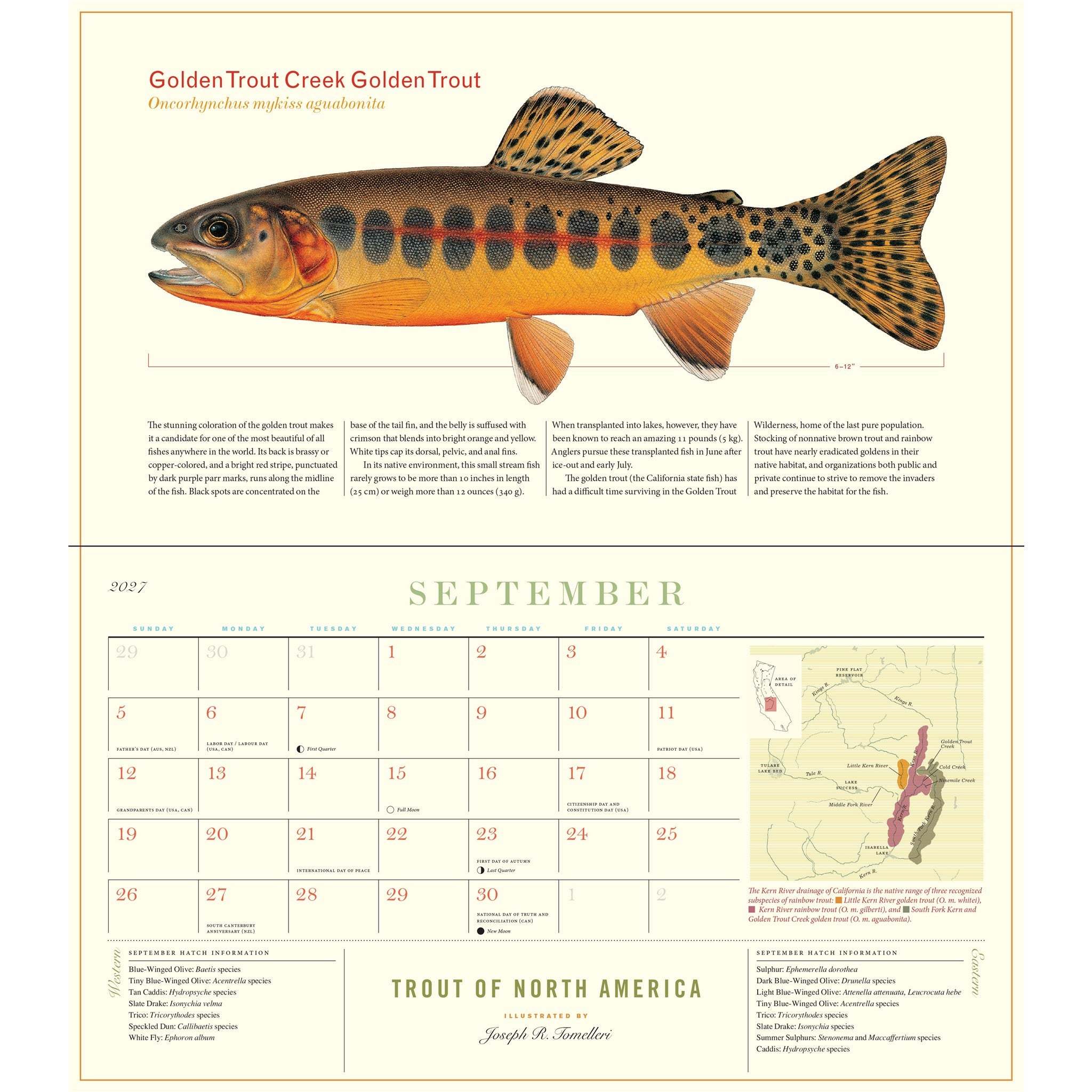 Calendrier mural 2027 : Truites d'Amérique du Nord