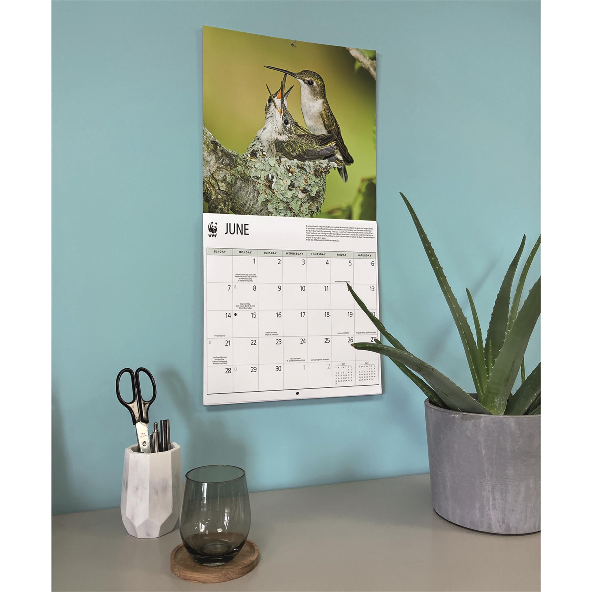 World Wildlife Fund Birds Backyard 2026 Wall Calendar