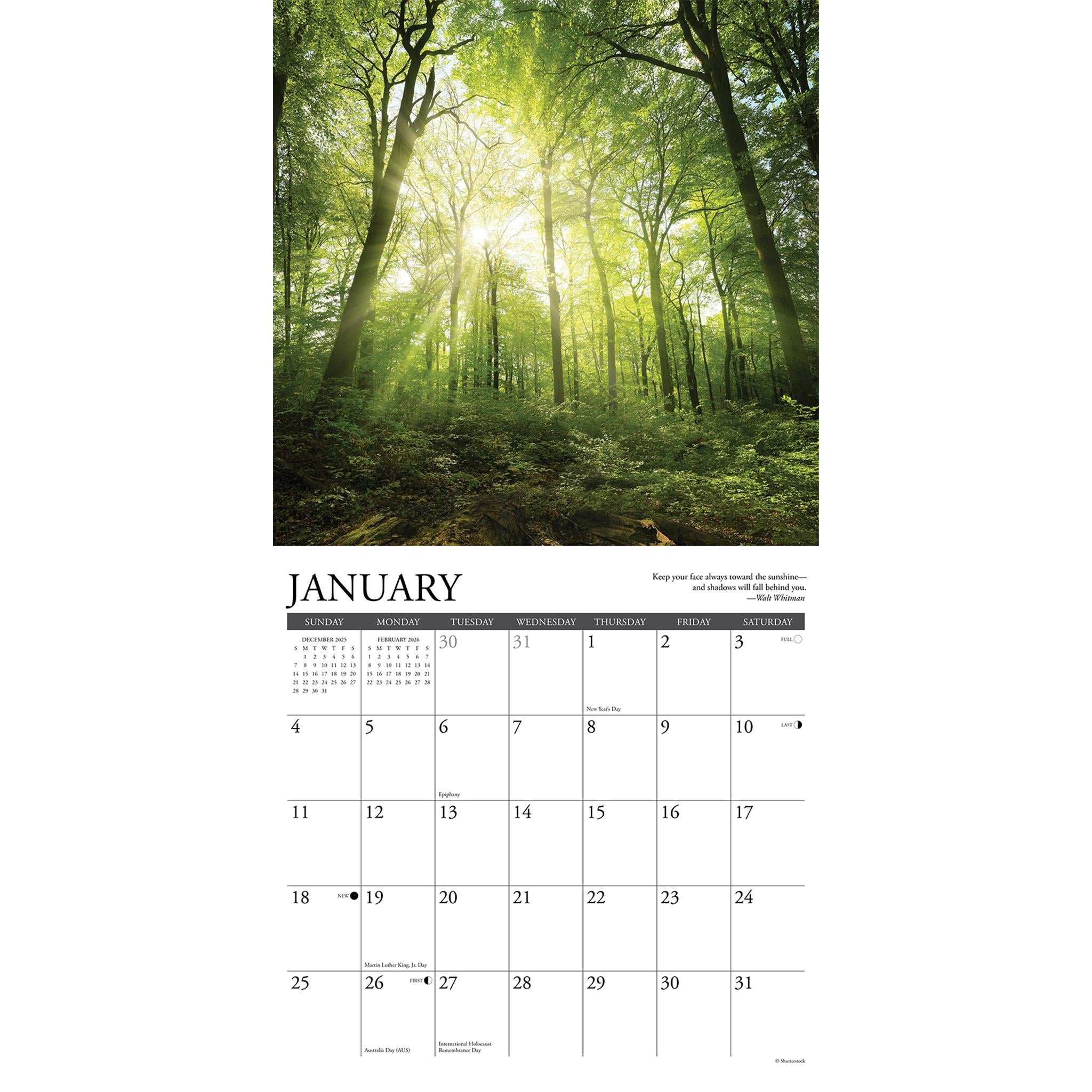 Calendrier mural 2026 « Le ciel a une forêt » - Disponible uniquement en ligne