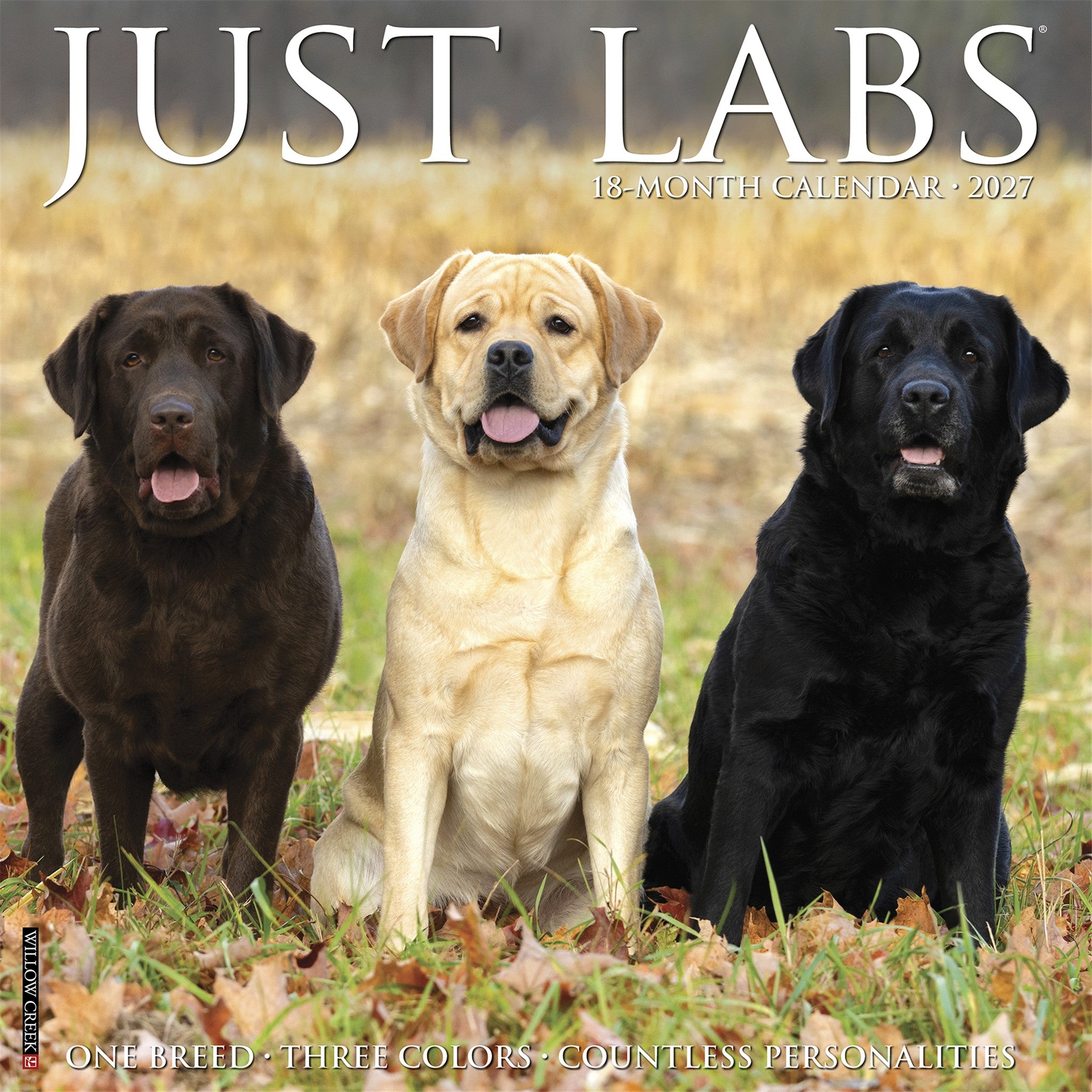 Labs 2027 Wall Calendar