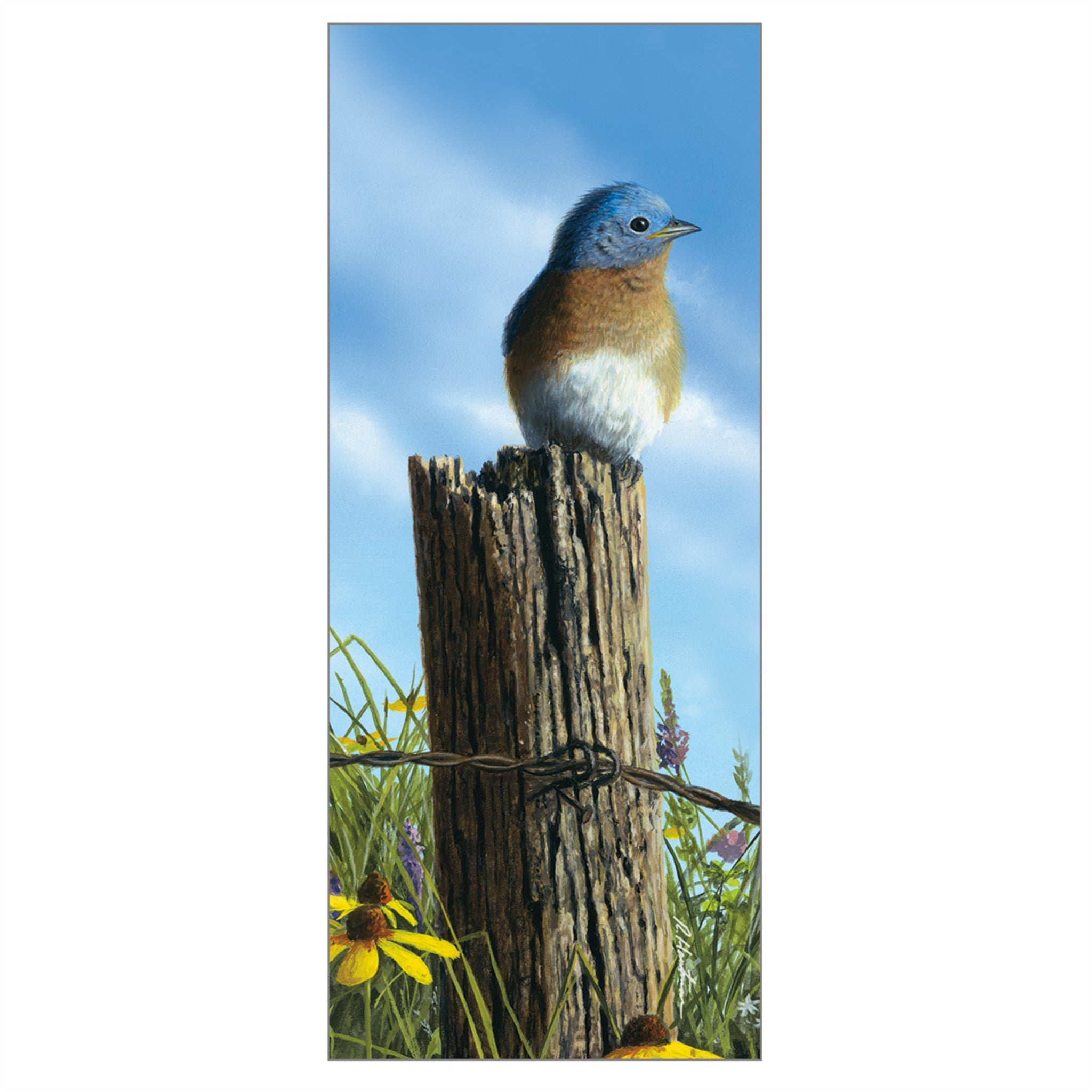 Songbirds Special Edition 2027 Wall Calendar