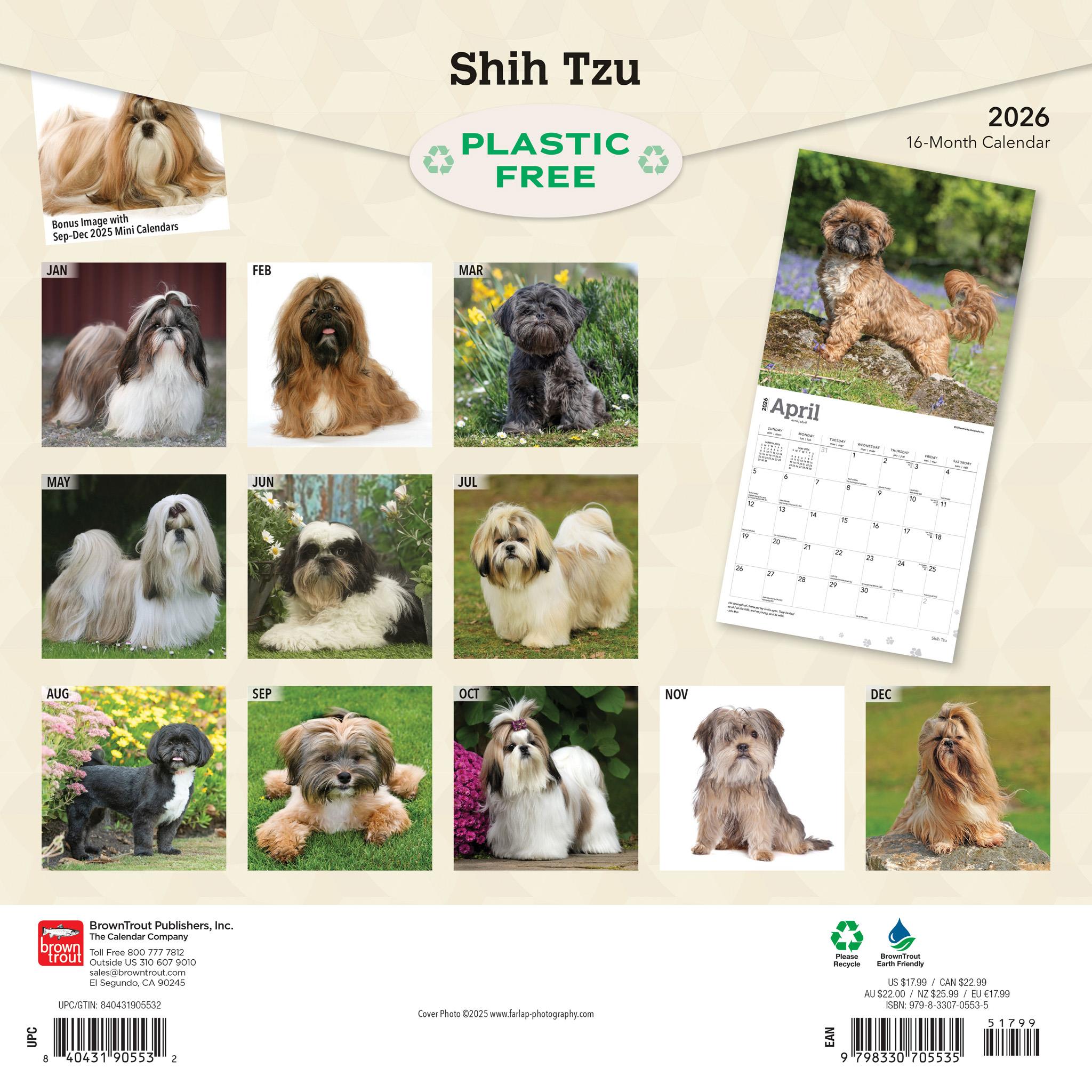 Calendrier mural Shih Tzu 2026