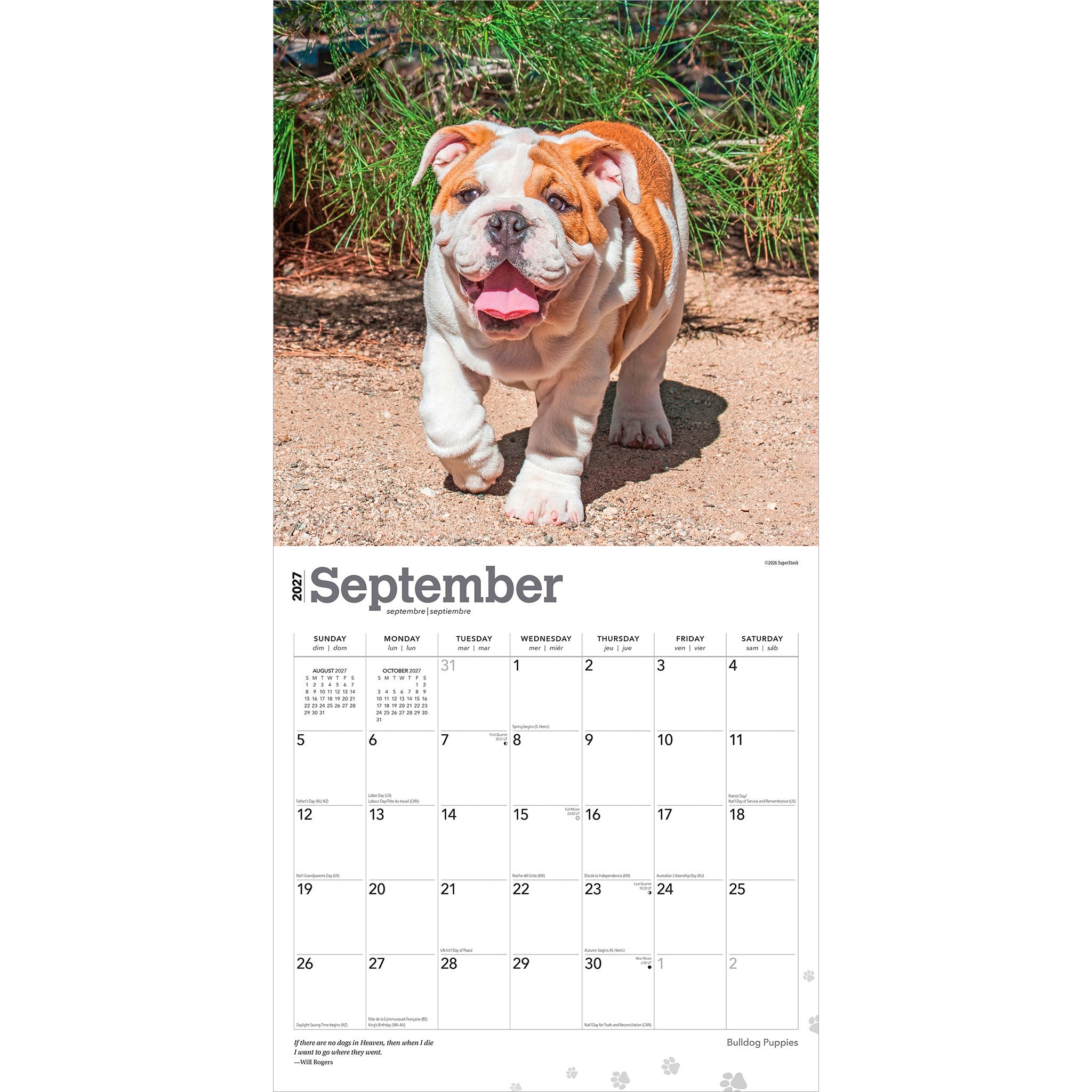 Bulldog Puppies 2027 Wall Calendar - Online Only