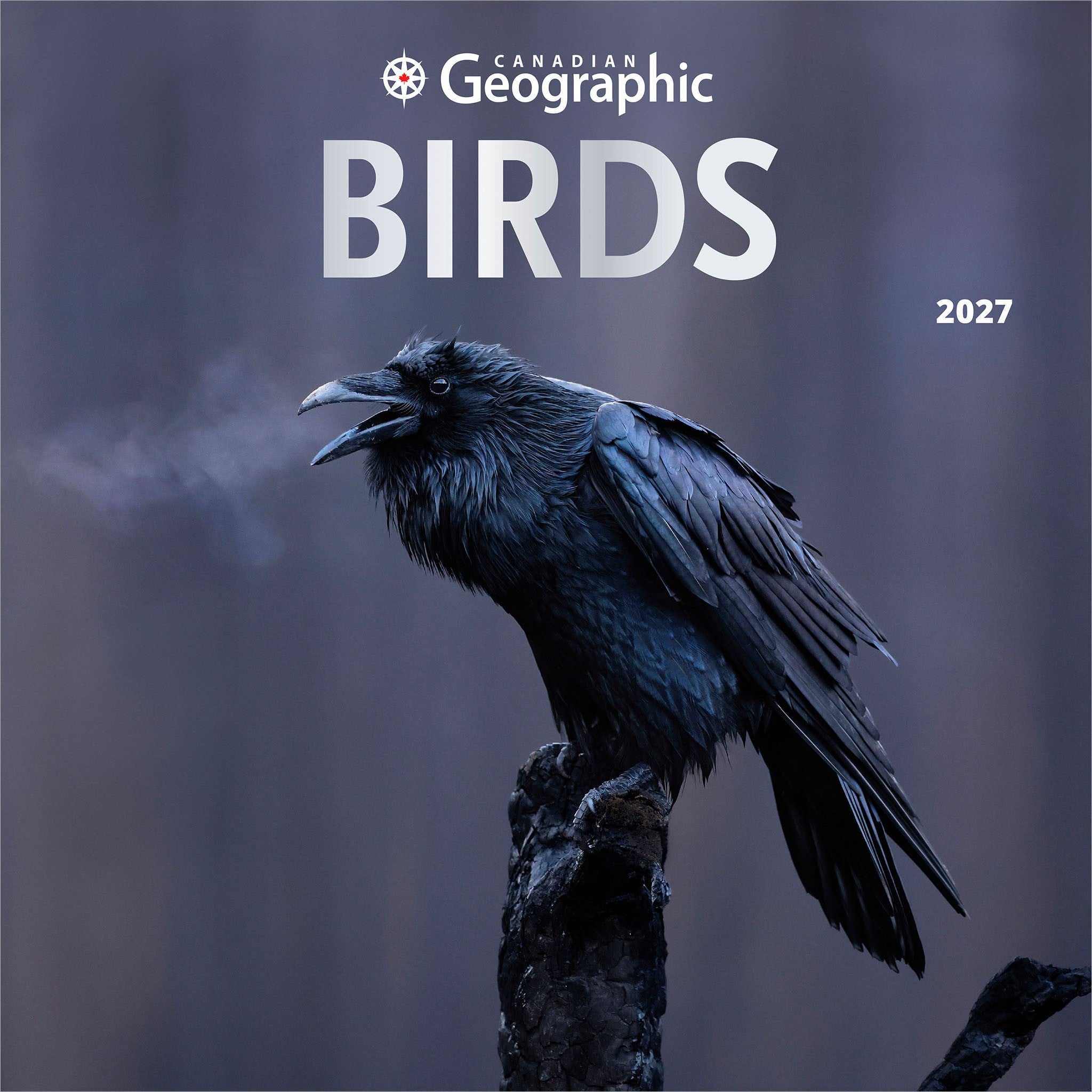 Canadian Geographic Birds 2027 Wall Calendar