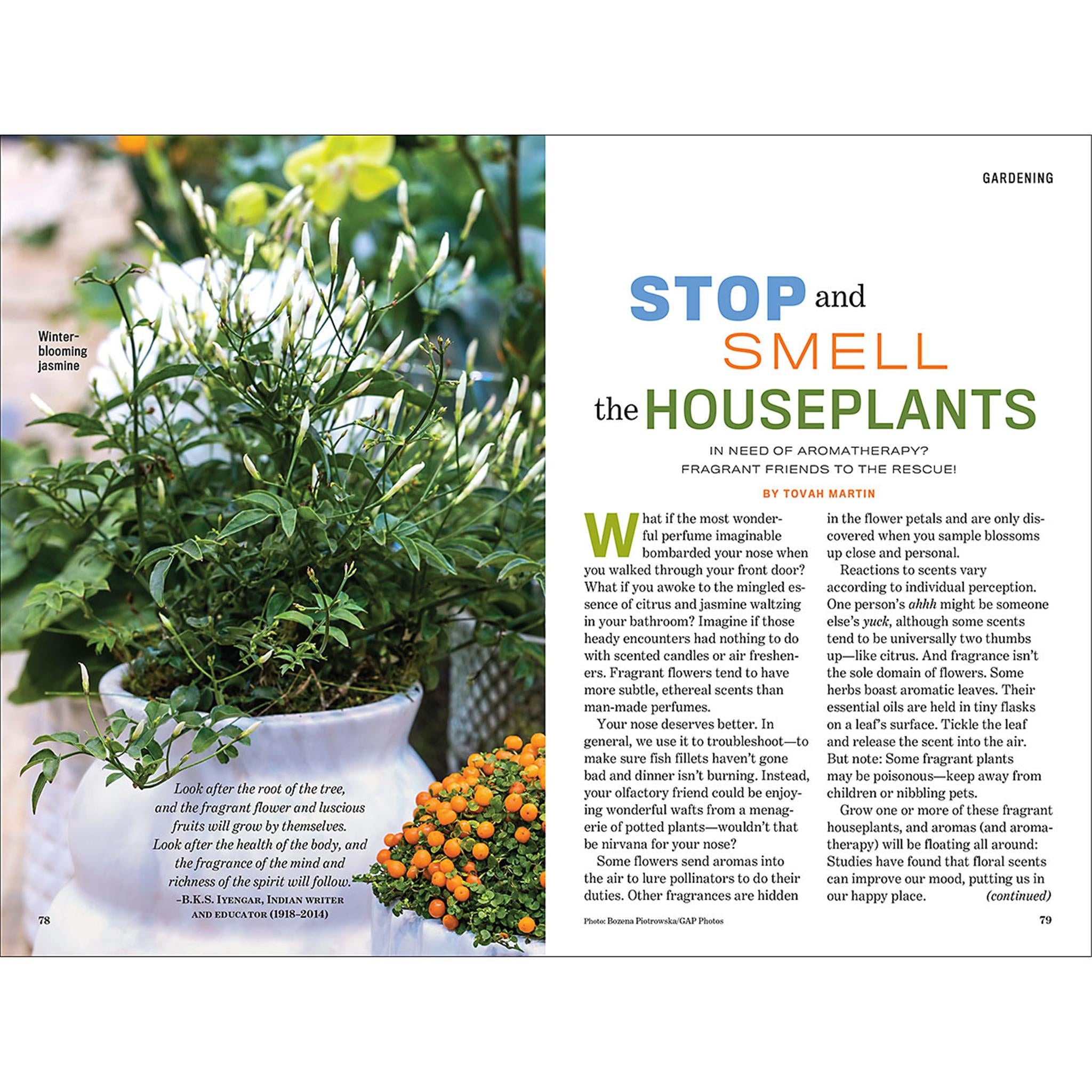 Calendrier des fiançailles de l'Almanach des vieux fermiers, édition canadienne 2026