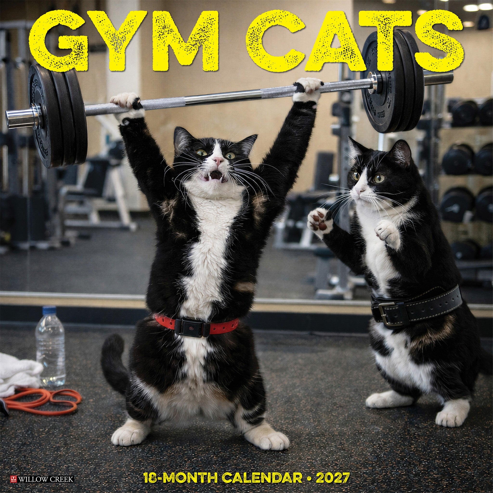 Gym Cats 2027 Wall Calendar