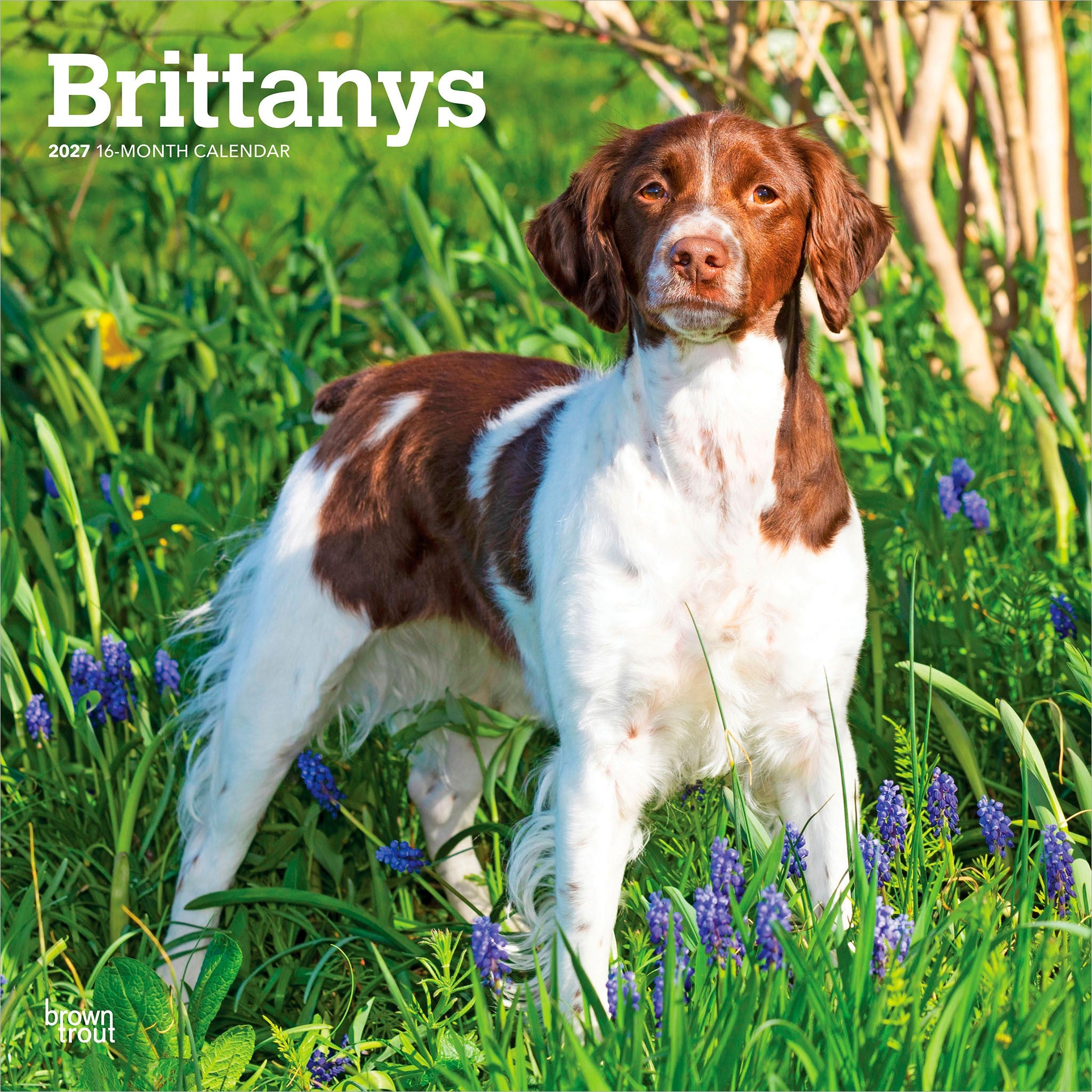 Brittanys 2027 Wall Calendar - Online Only