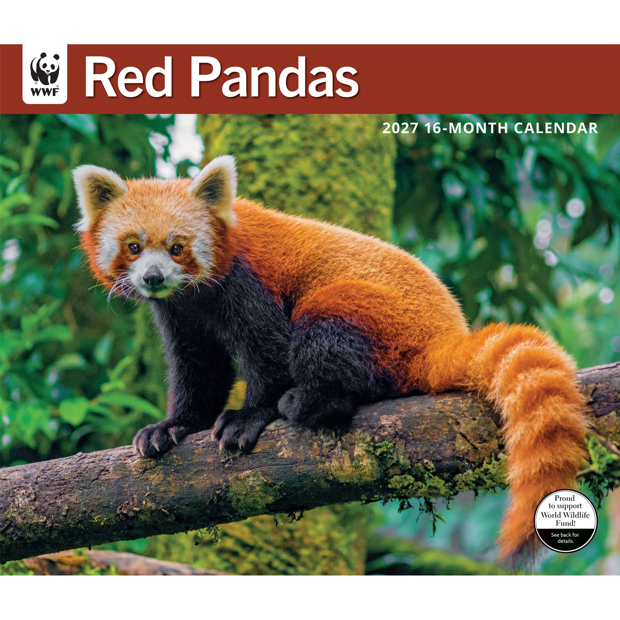 Calendrier mural 2027 Pandas roux du Fonds mondial pour la nature