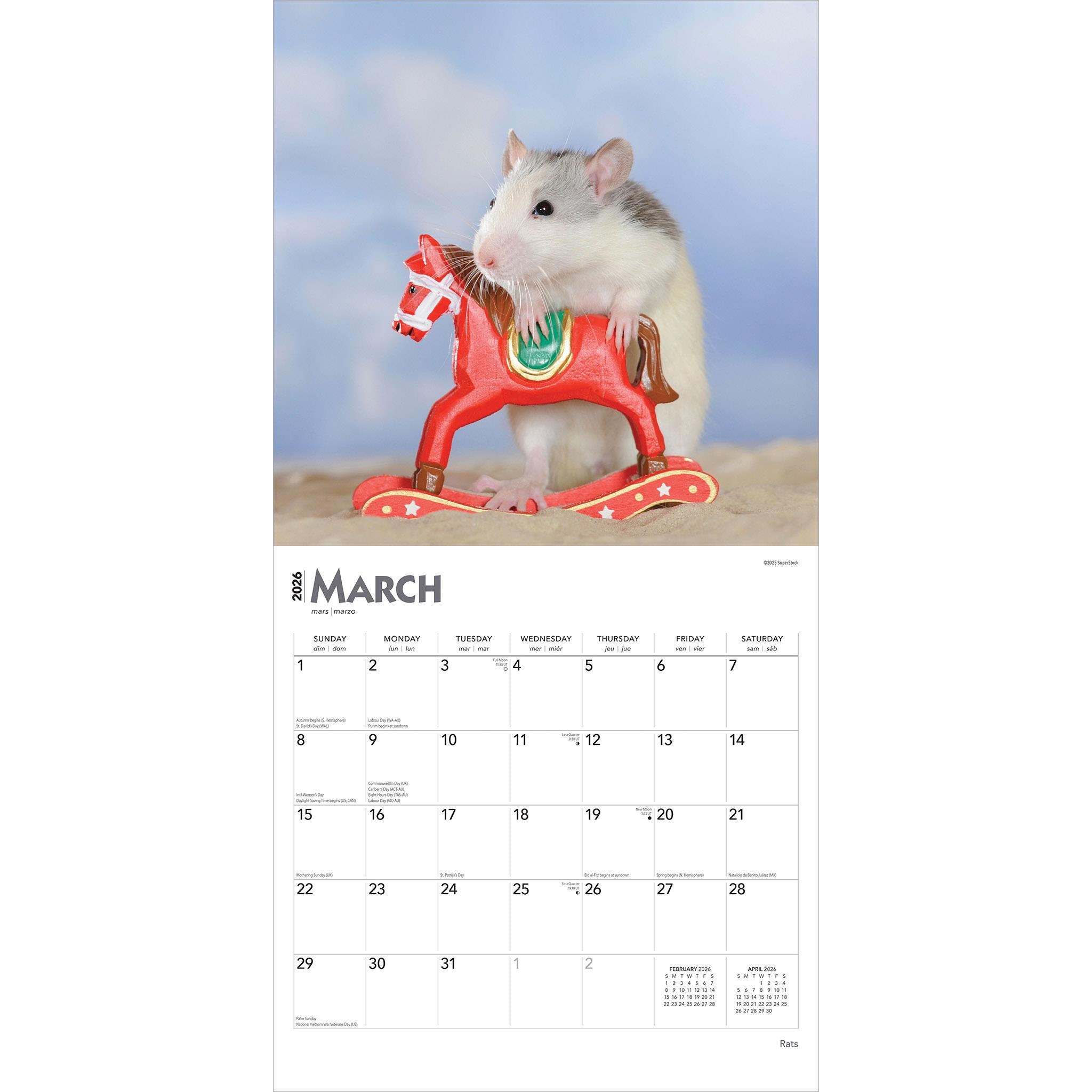 Rats 2026 Wall Calendar