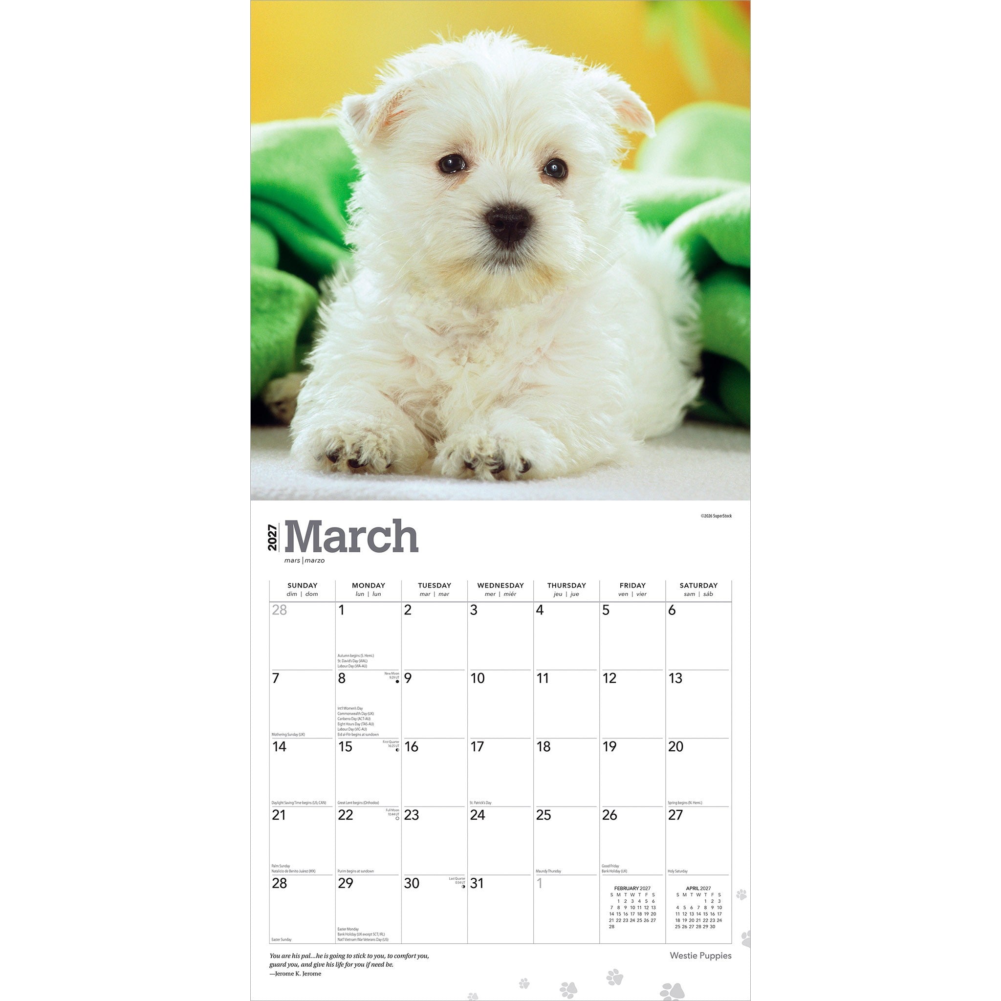 West Highland White Terrier Puppies 2027 Mini Calendar