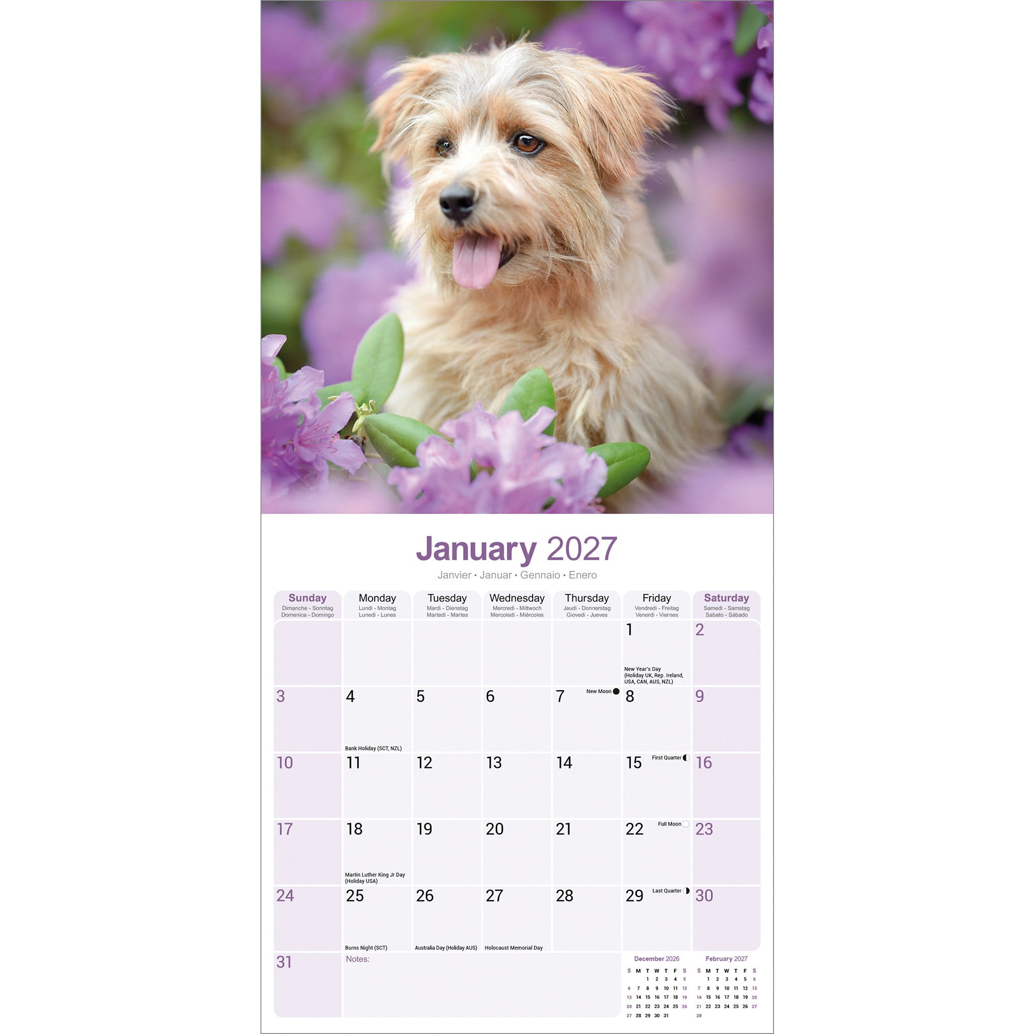 Norwich/Norfolk Terrier 2027 Wall Calendar - Online Only