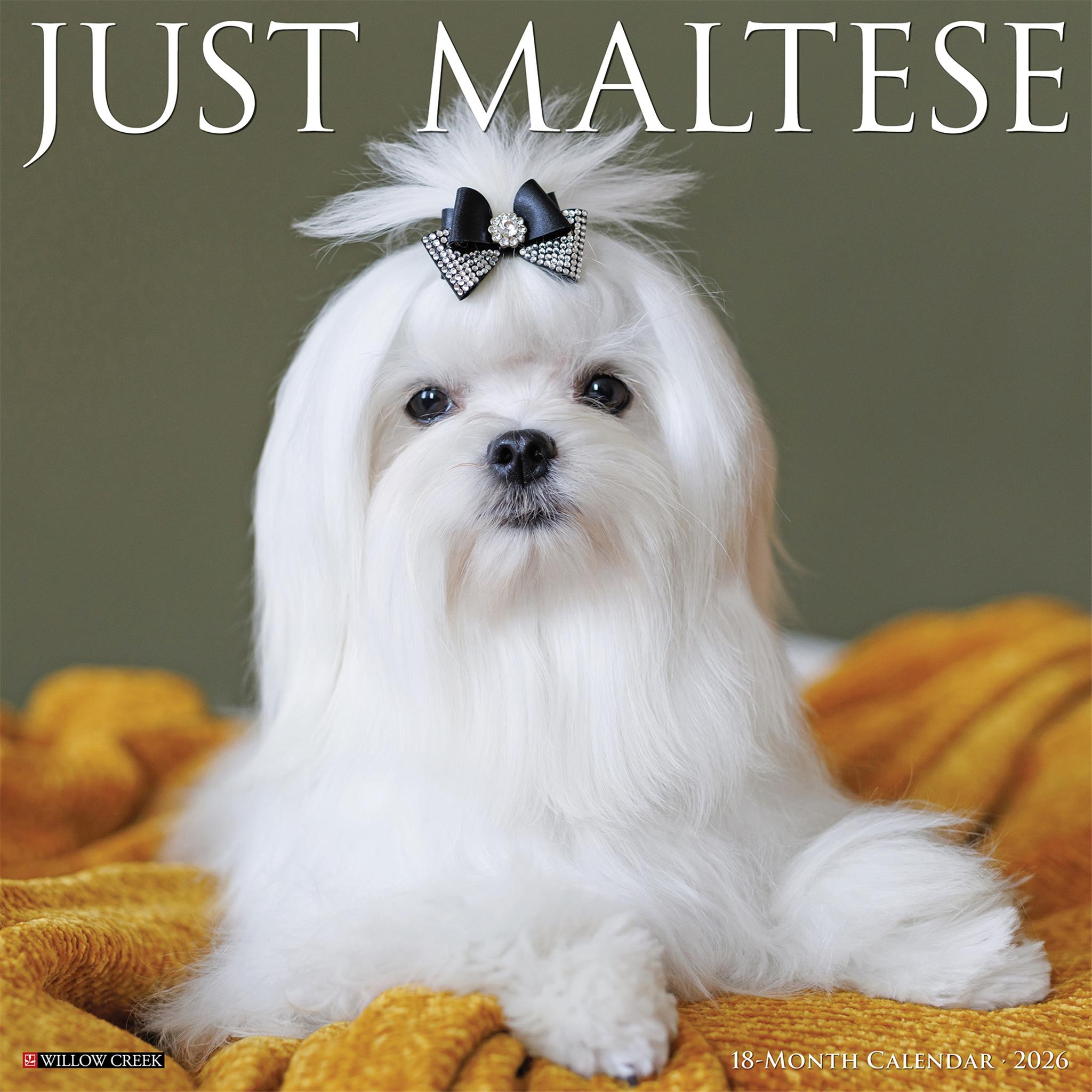 Calendrier mural Just Maltese 2026 - Disponible uniquement en ligne