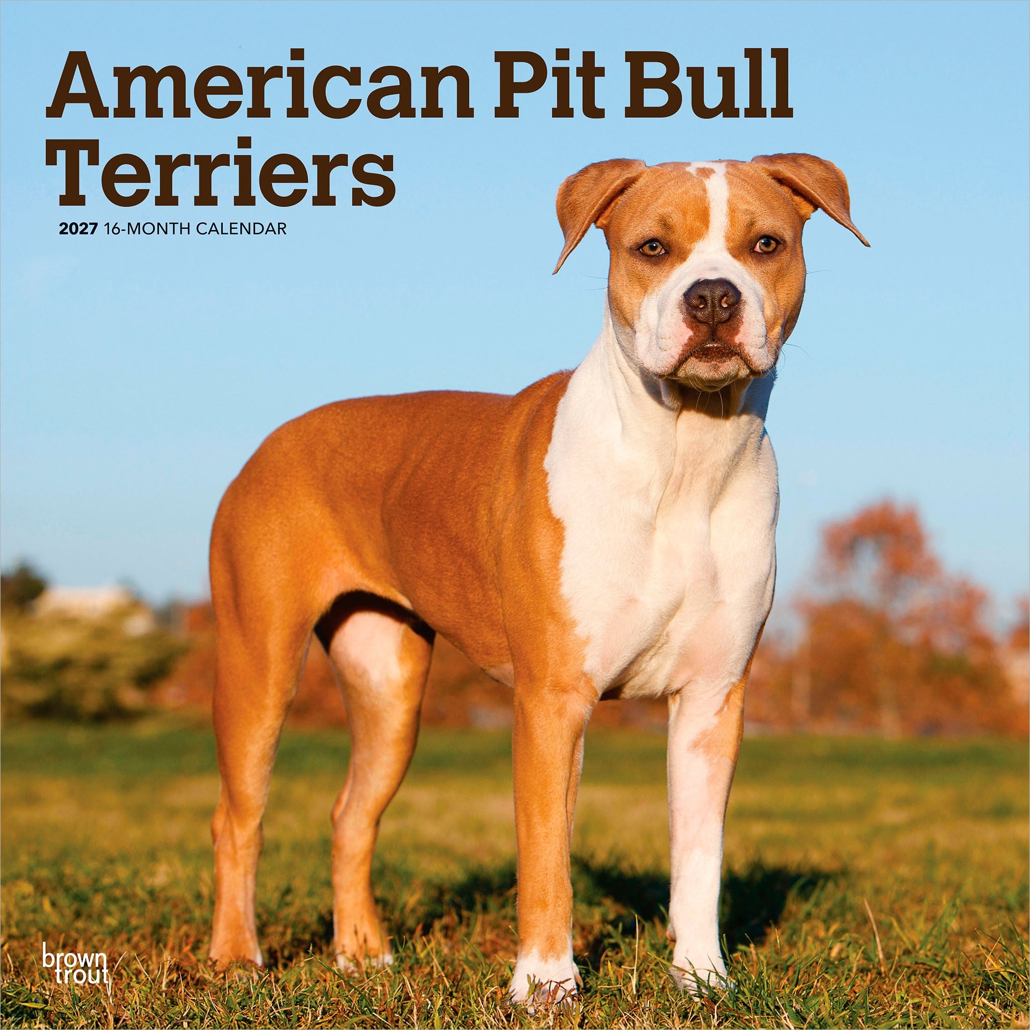 American Pit Bull Terriers 2027 Wall Calendar