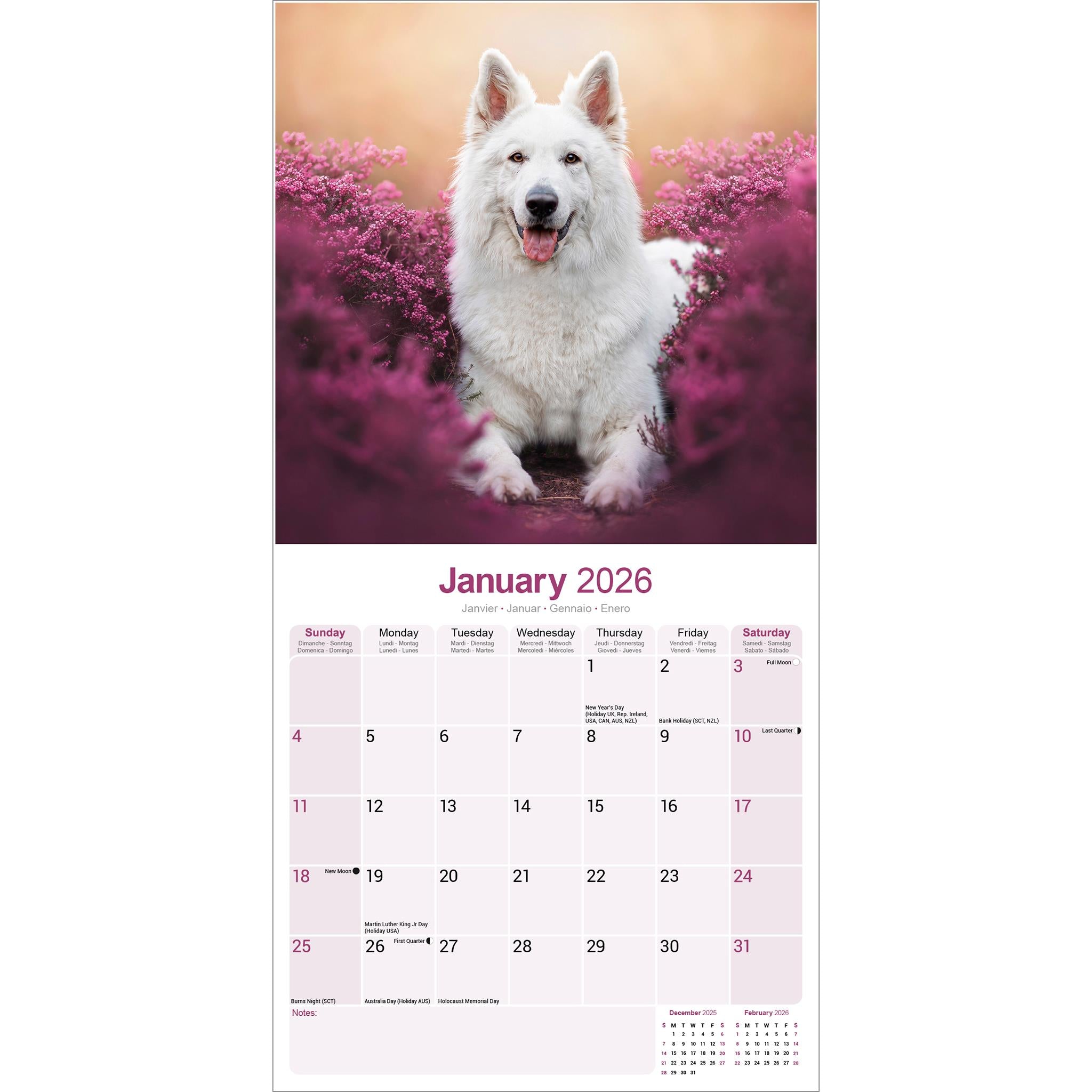 White Shepherd 2026 Wall Calendar
