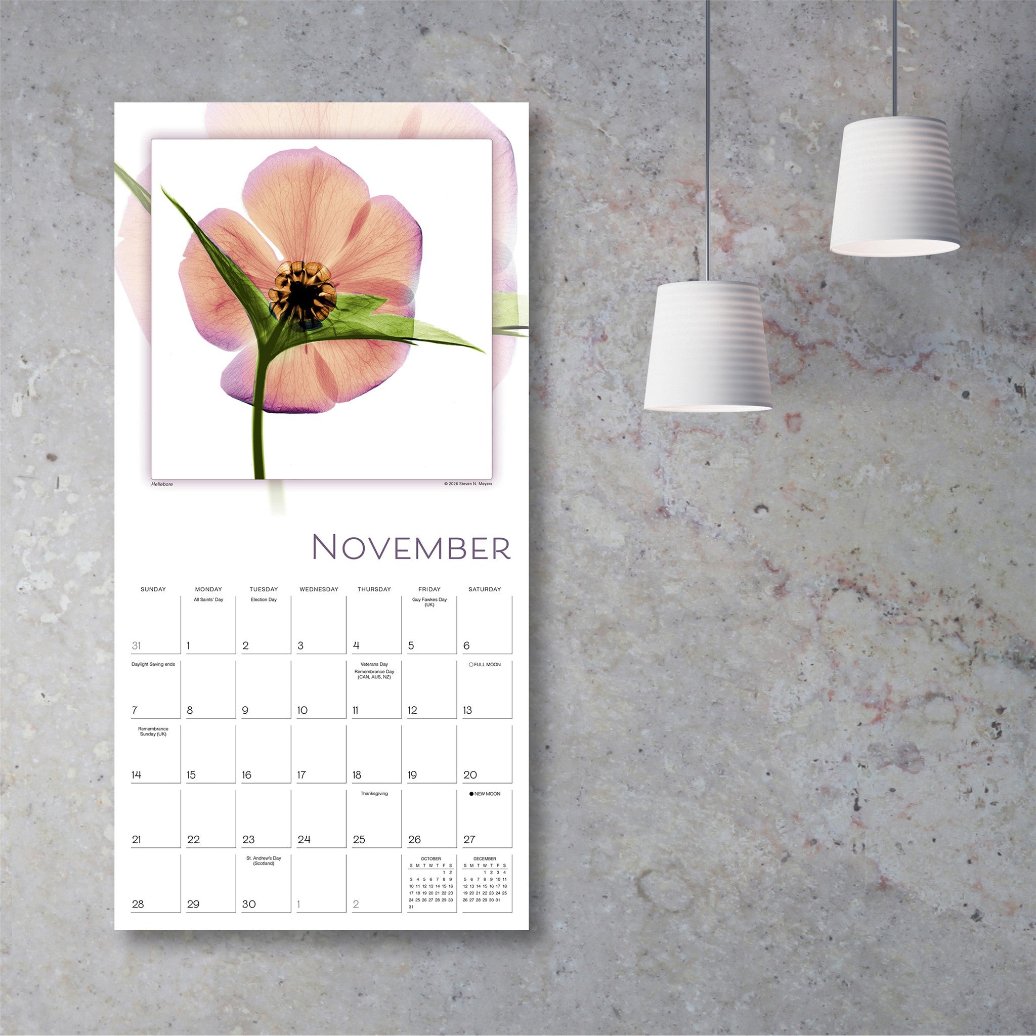 Flower Spirits 2027 Wall Calendar