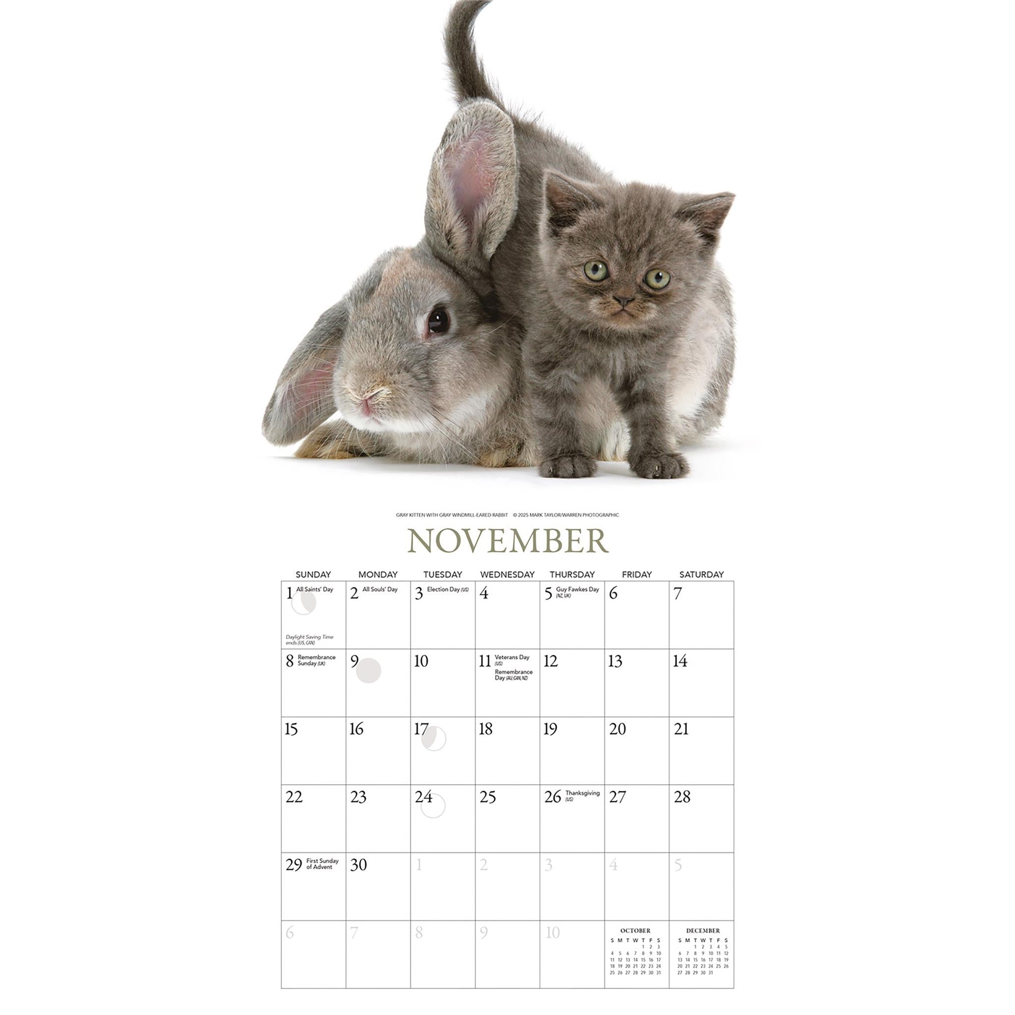 Kittens And Friends Mini 2026 Calendar