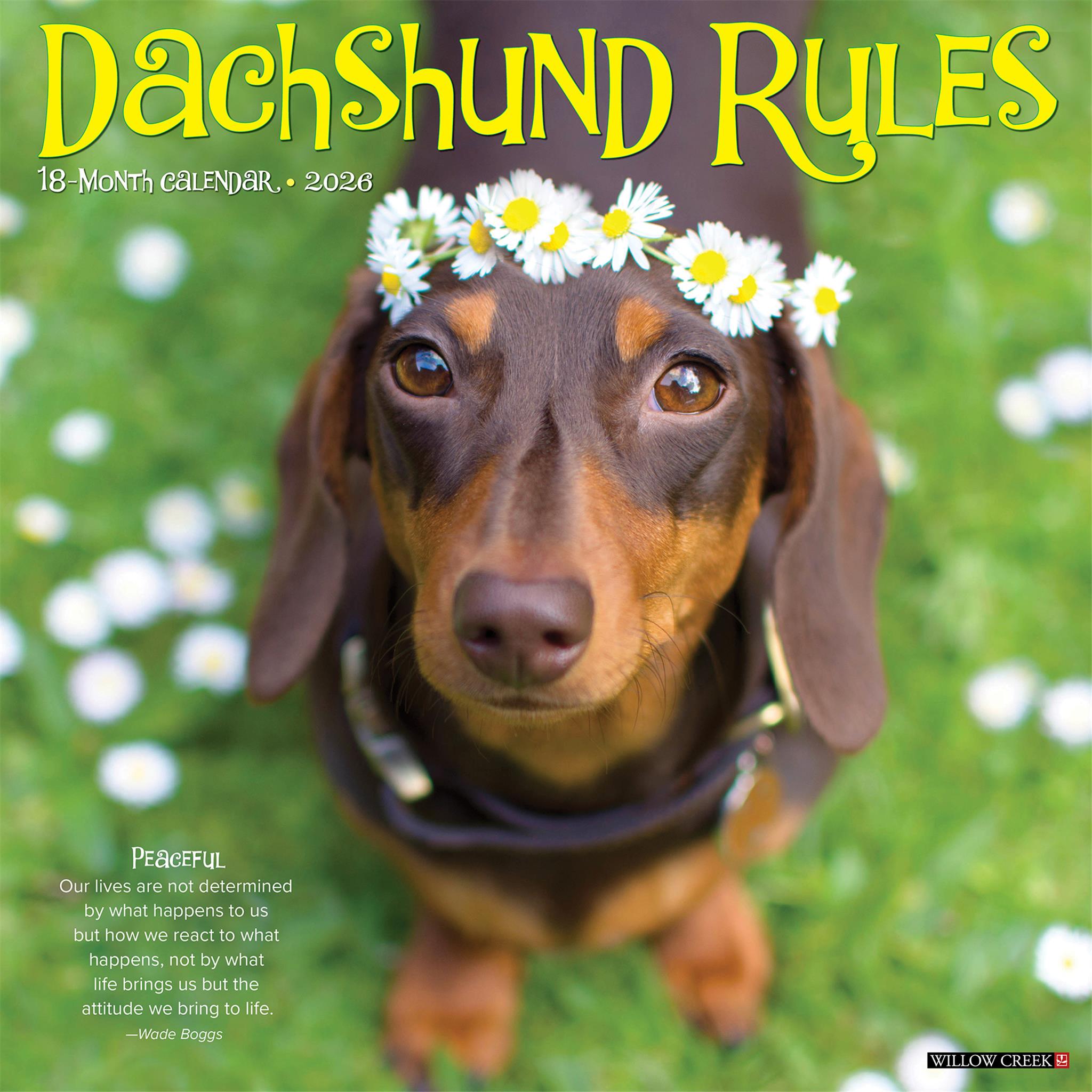 Calendrier mural Dachshund Rules 2026