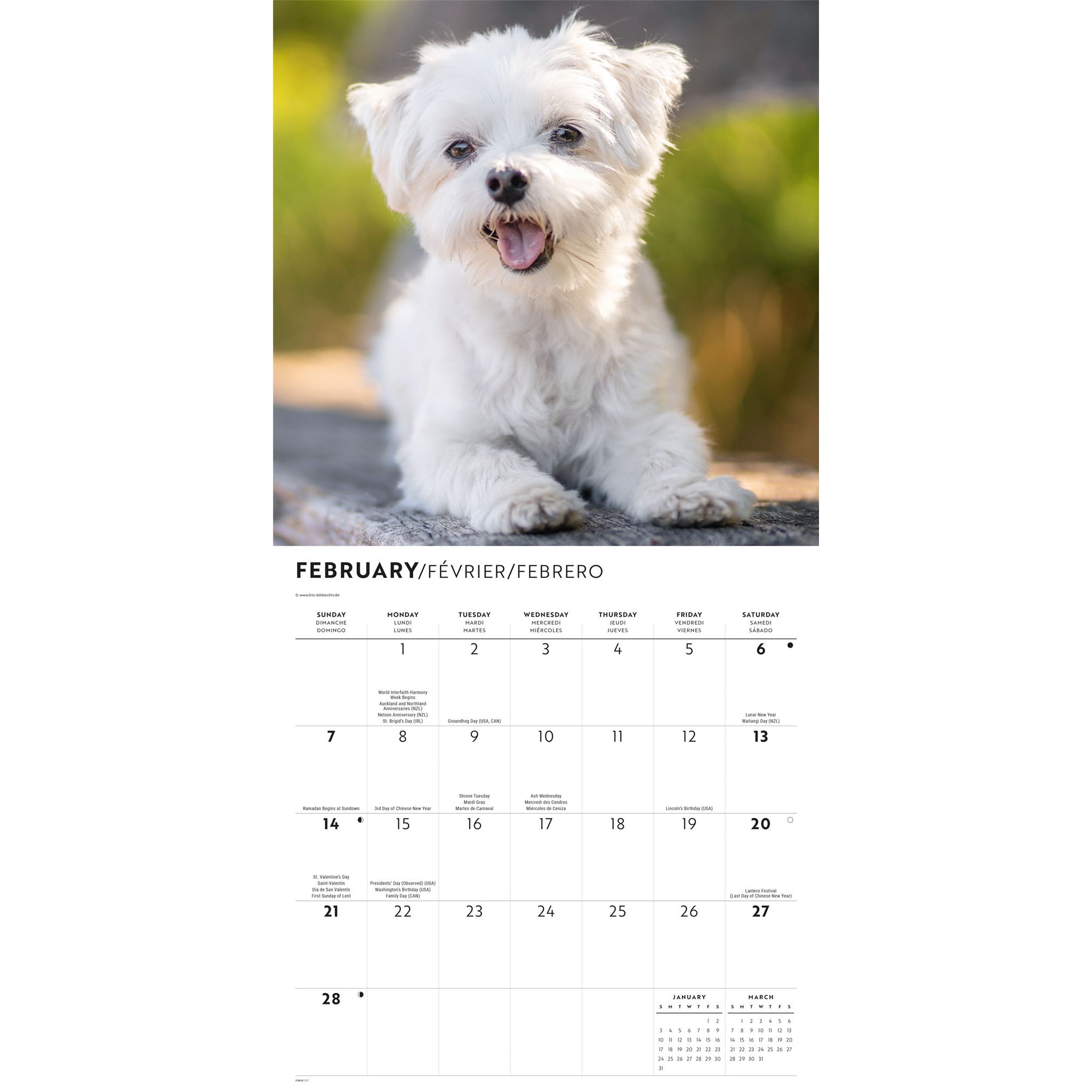 Calendrier mural Maltais 2027
