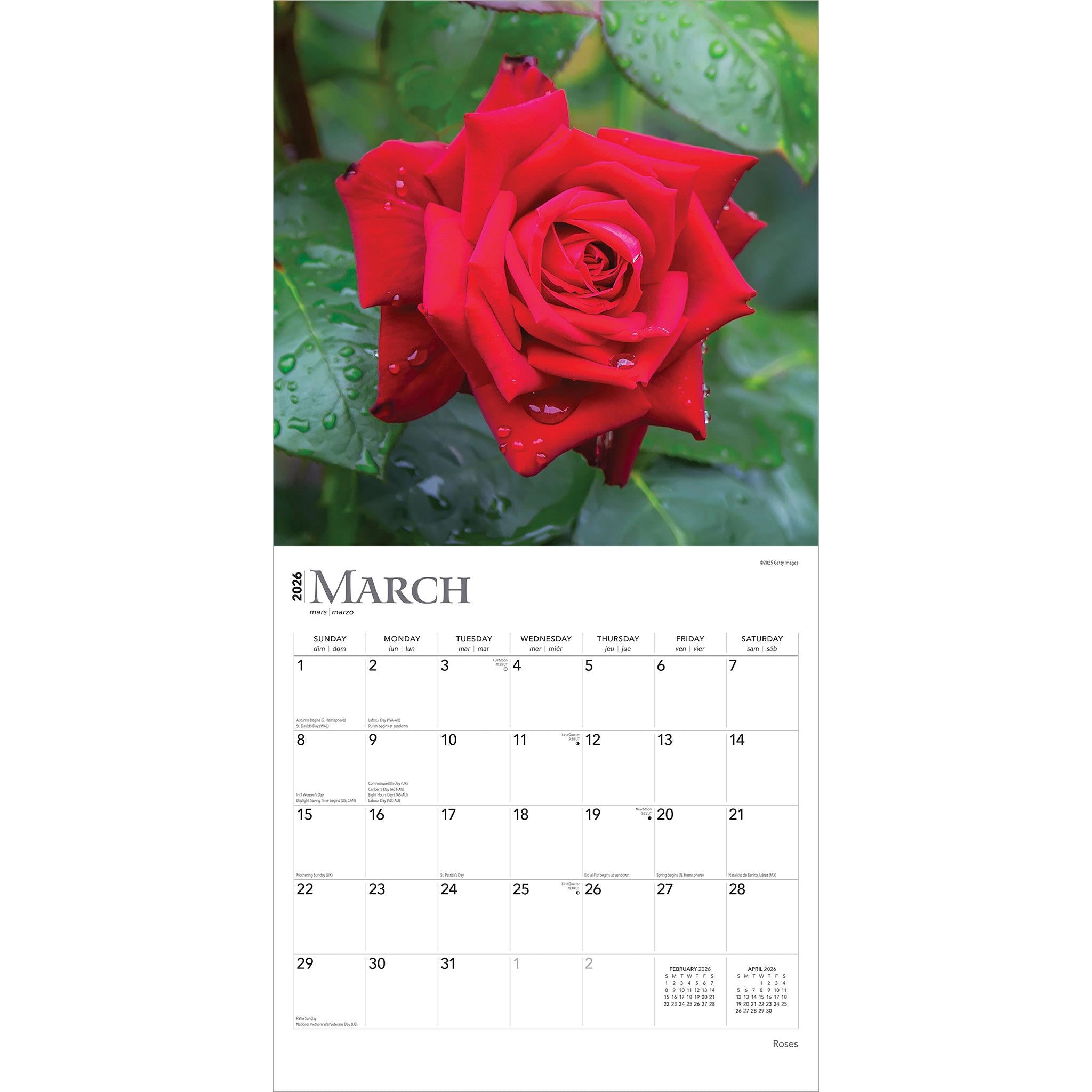 Roses 2026 Wall Calendar - Online Only