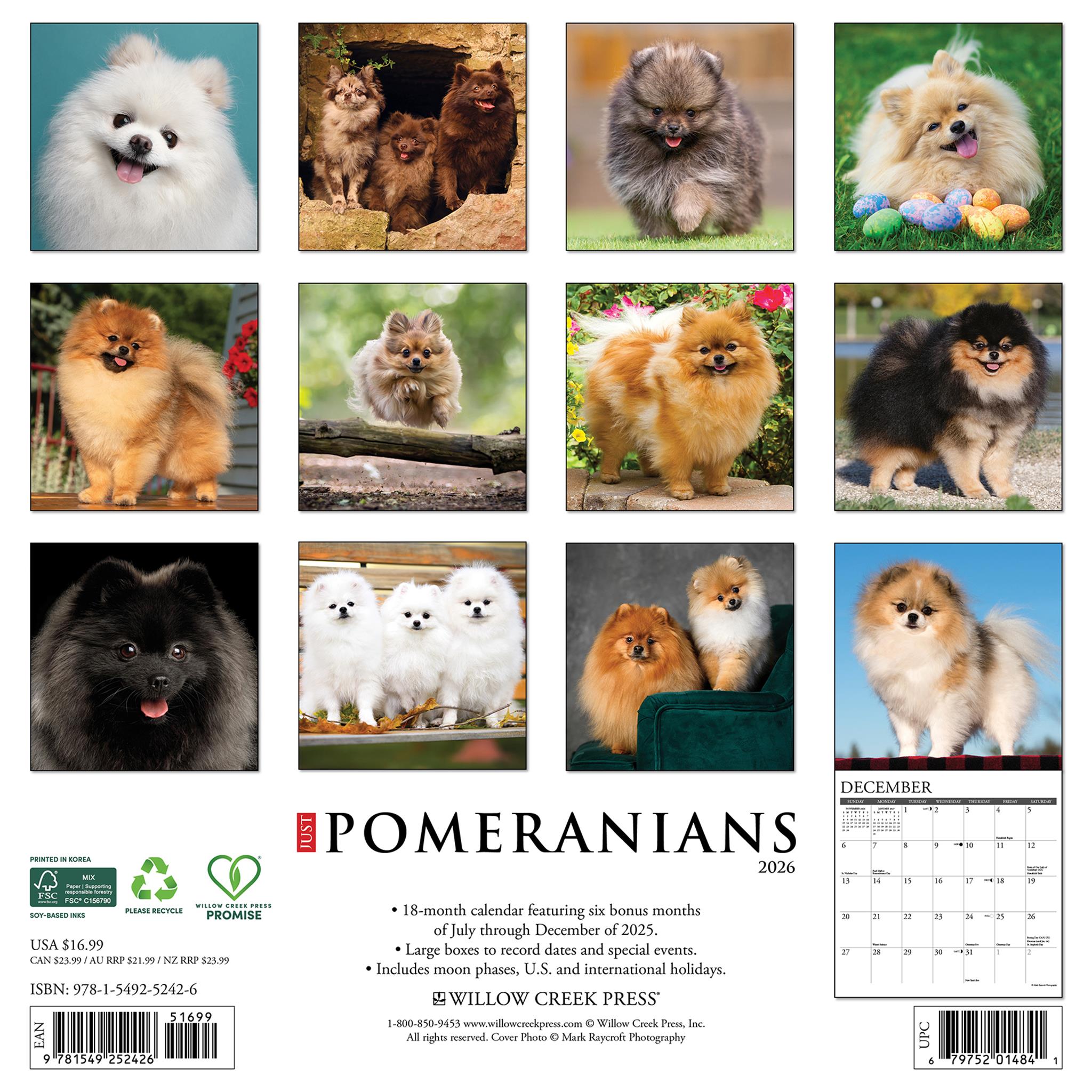 Calendrier mural Just Pomeranians 2026