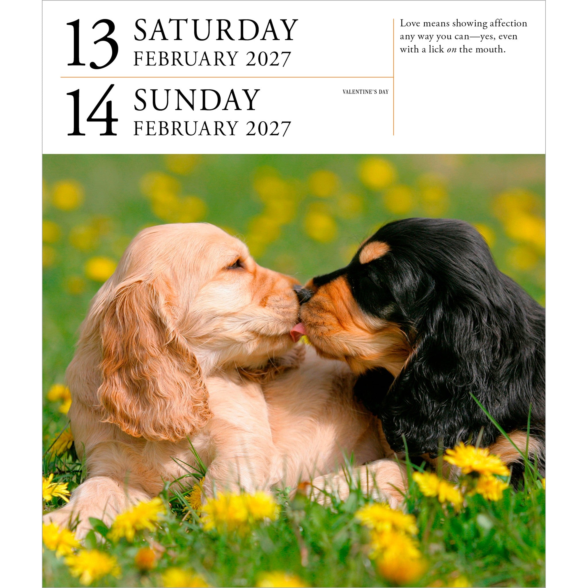 Dog Gallery 2027 Box Calendar