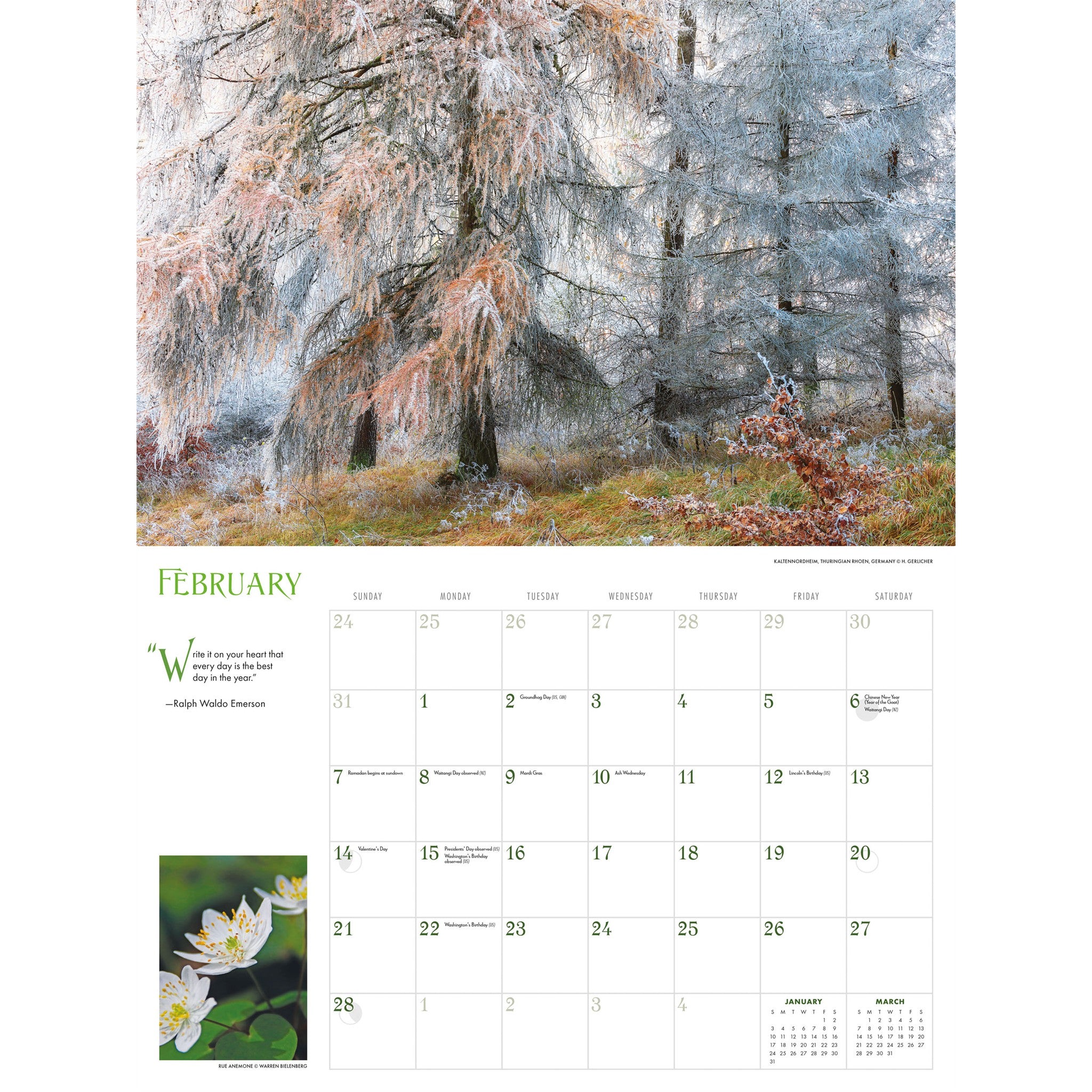 Calendrier mural Into the Woods 2027