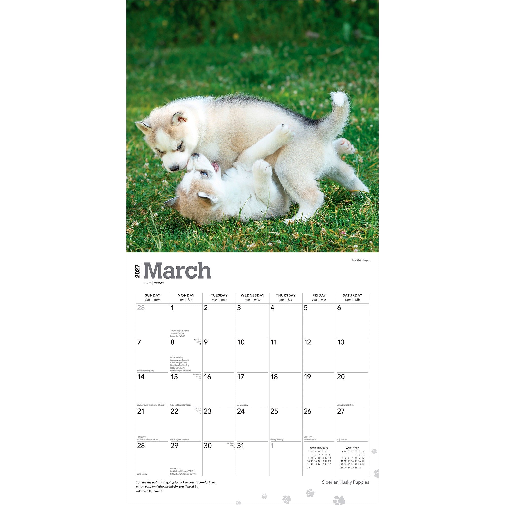 Siberian Husky Puppies 2027 Wall Calendar