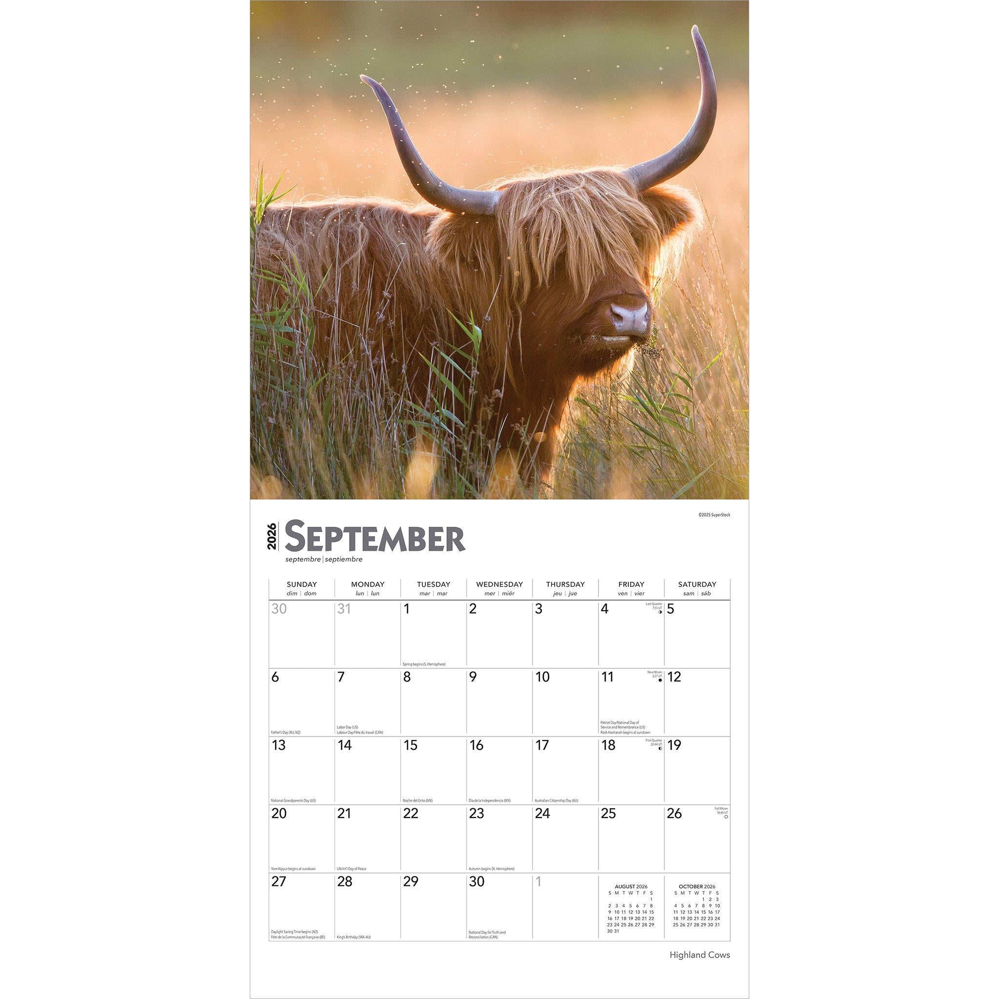 Calendrier mural des vaches des Highlands 2026