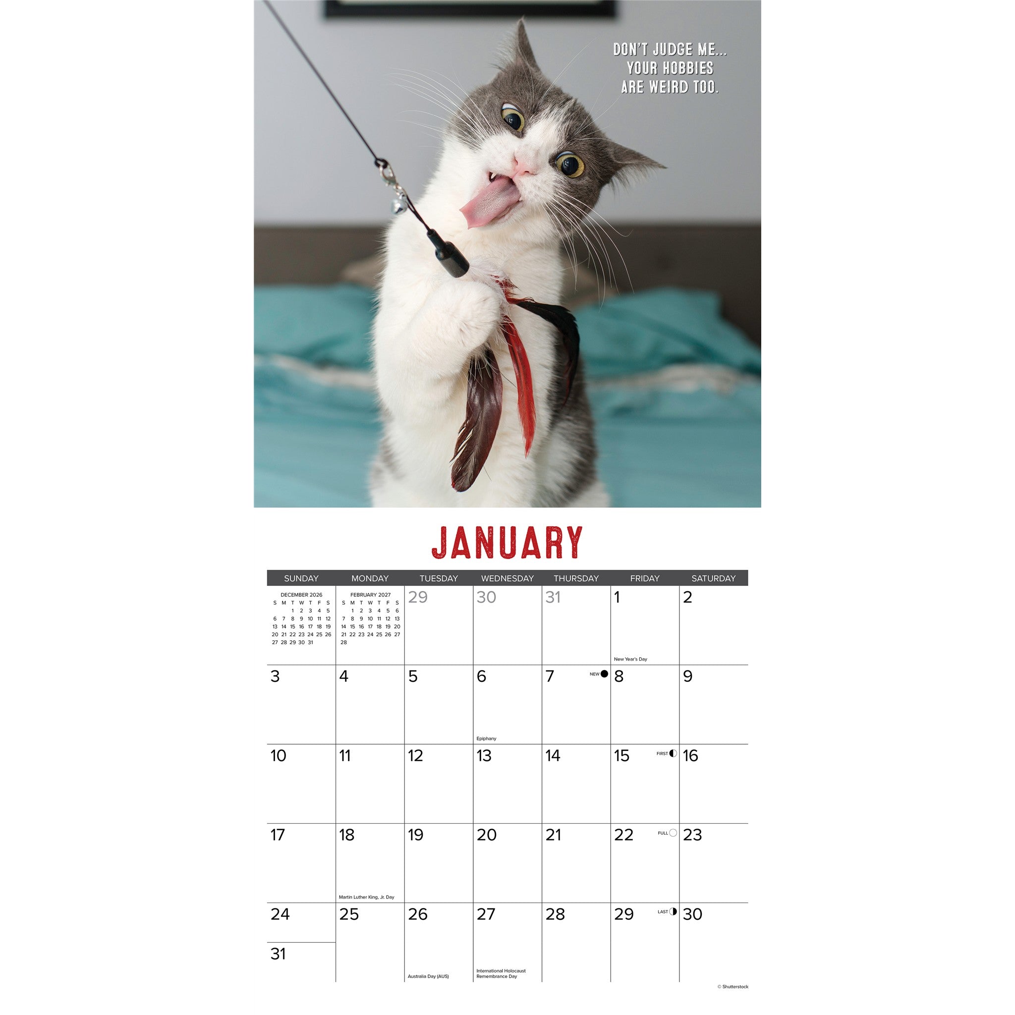 Bad Kitties 2027 Wall Calendar