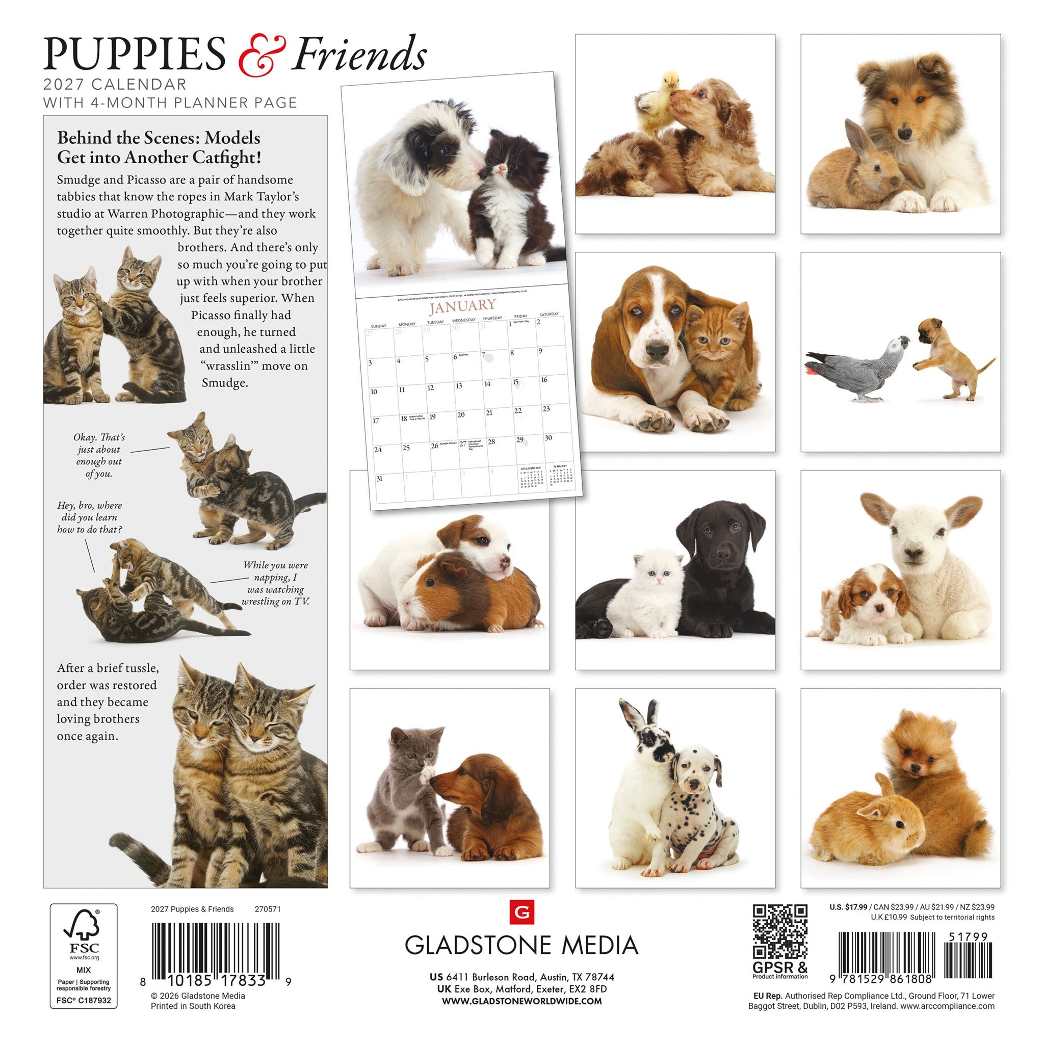 Calendrier mural Chiots et amis 2027