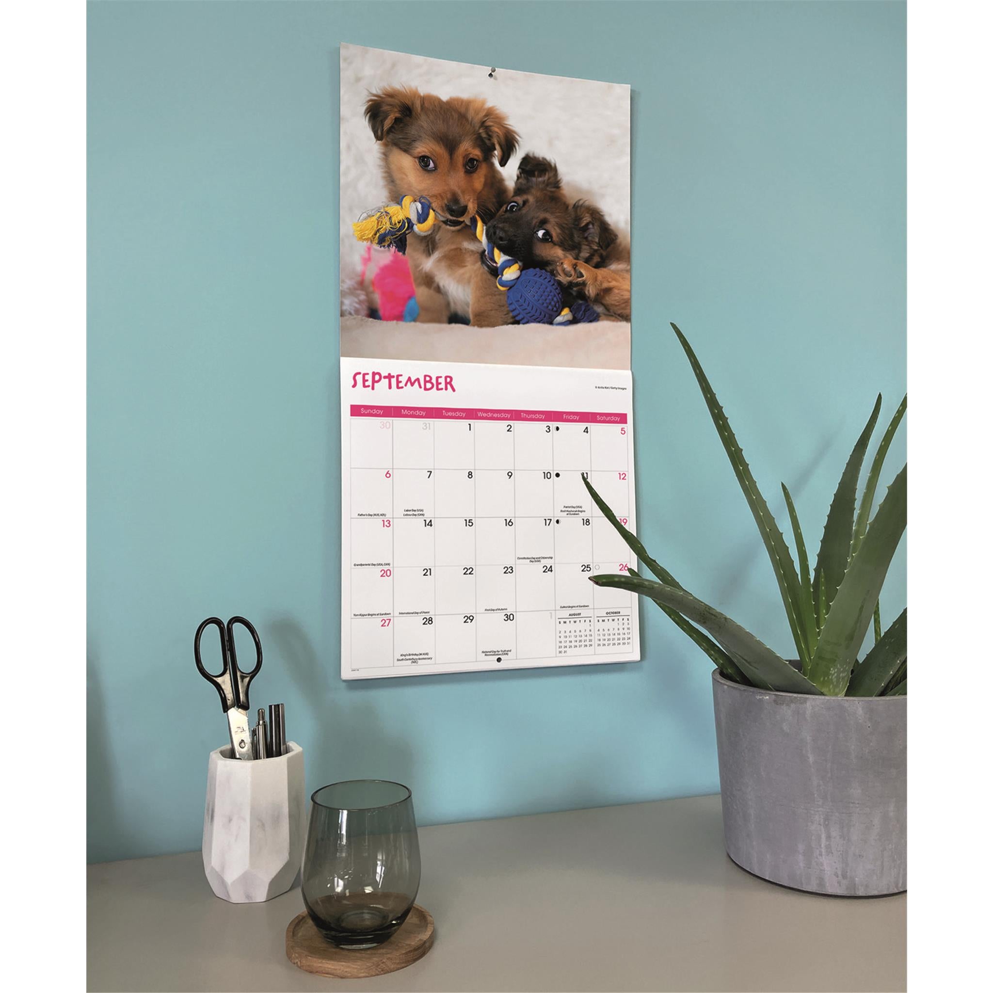 Calendrier mural Chiots joueurs 2026