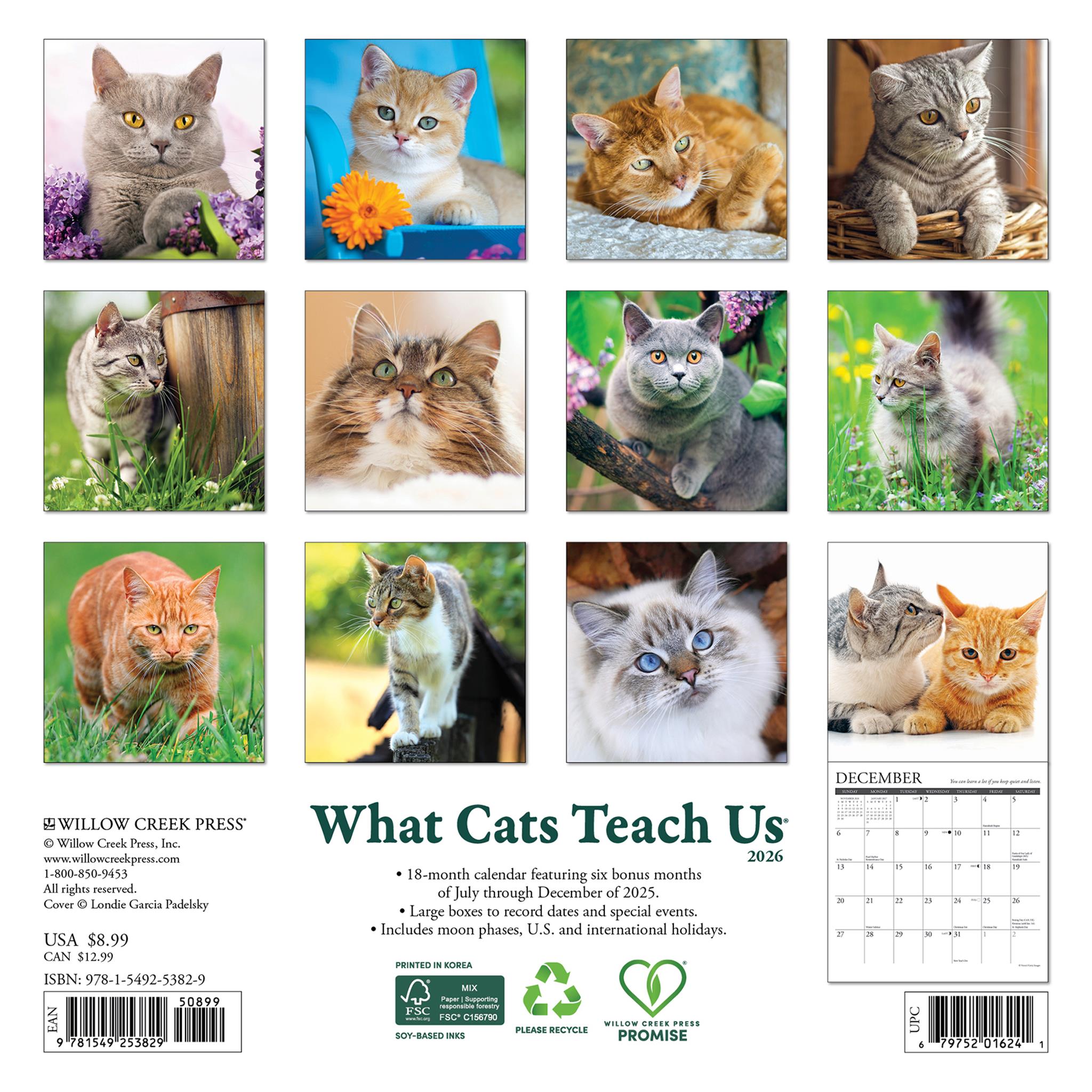 Mini-calendrier 2026 « Ce que les chats nous apprennent »