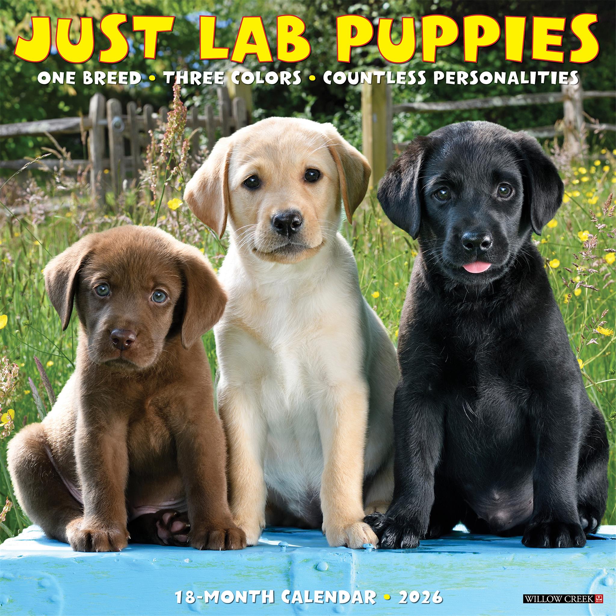 Calendrier mural 2026 « Just Lab Puppies »