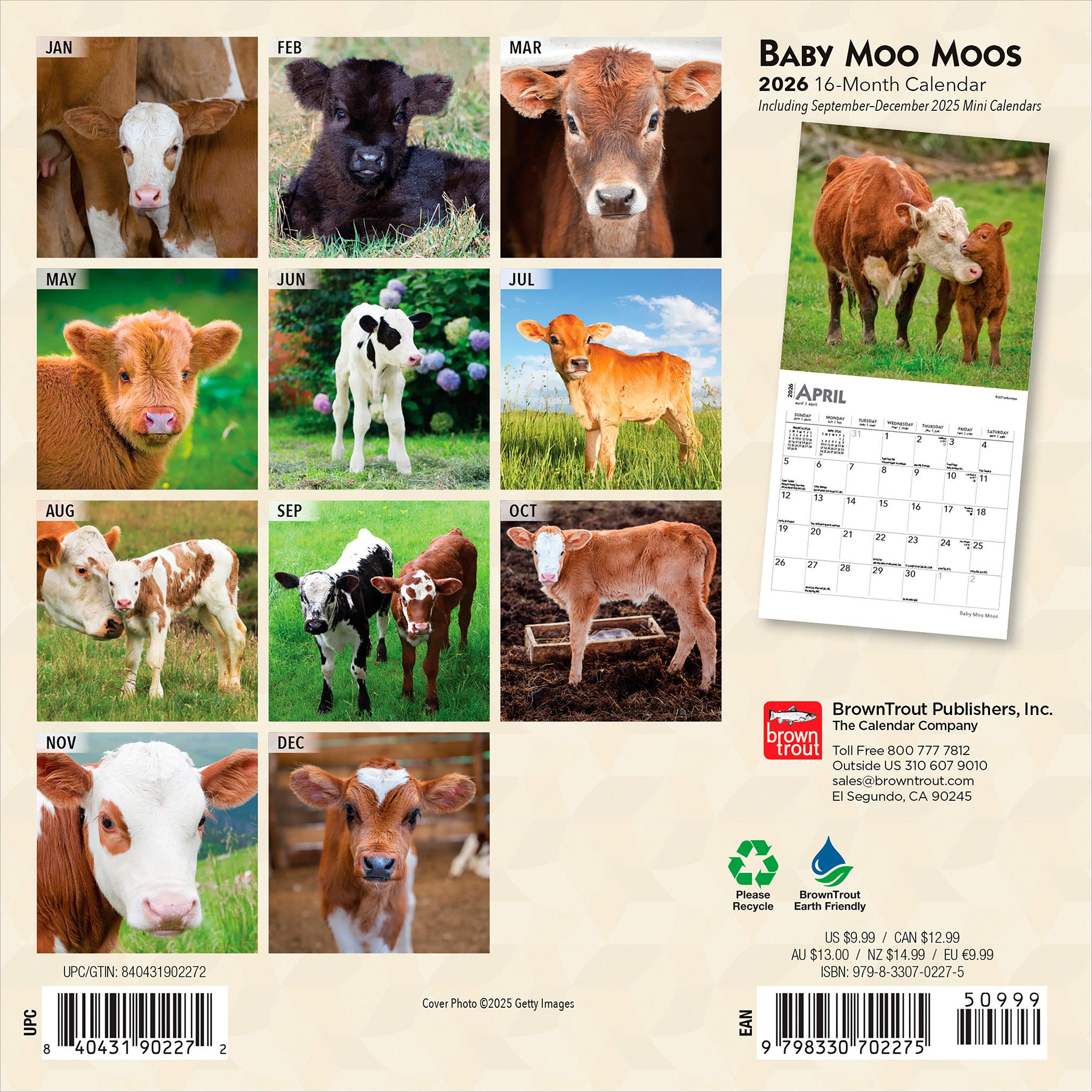 Mini calendrier Baby Moo Moos 2026 - Disponible uniquement en ligne
