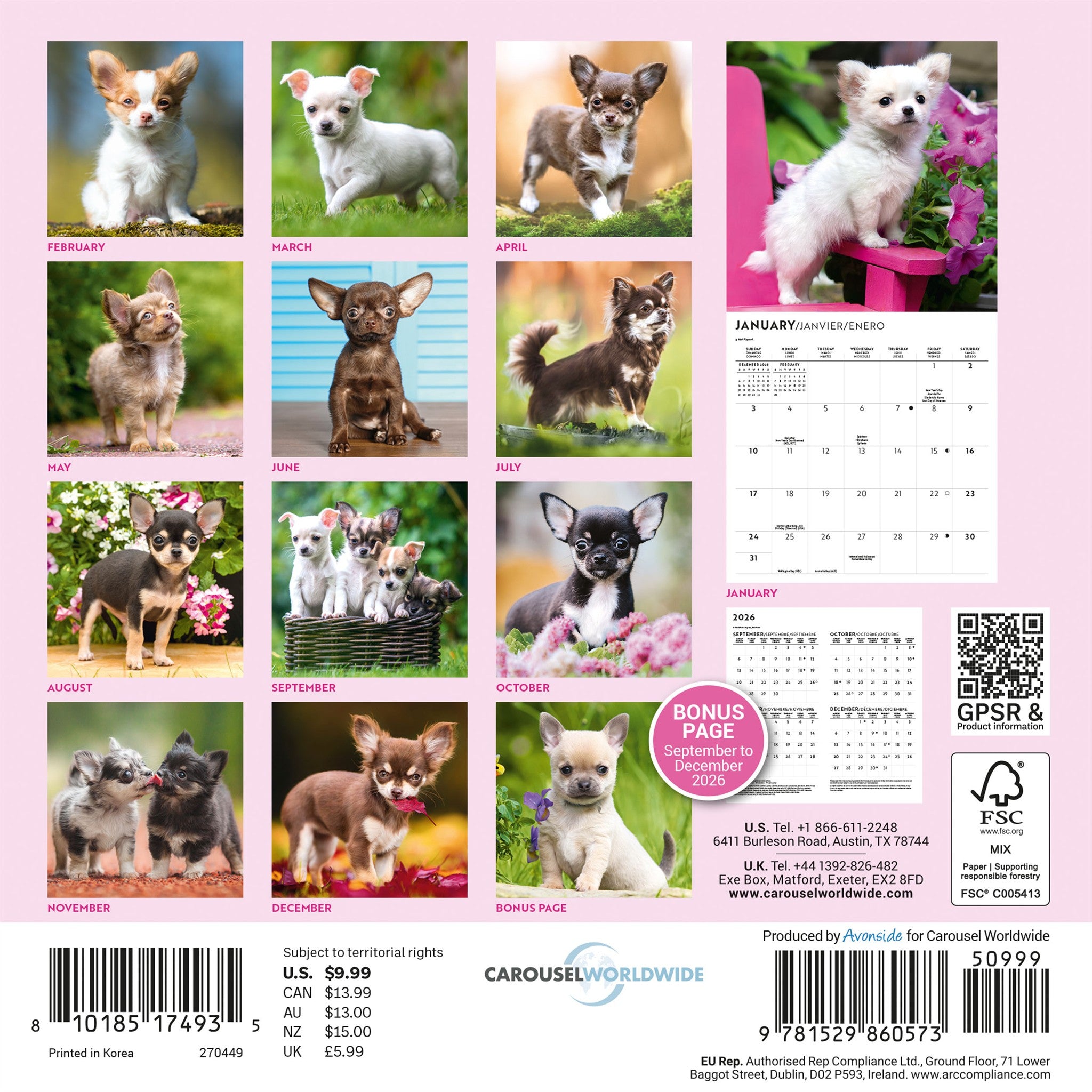 Calendrier Mini Chiots Chihuahuas 2027