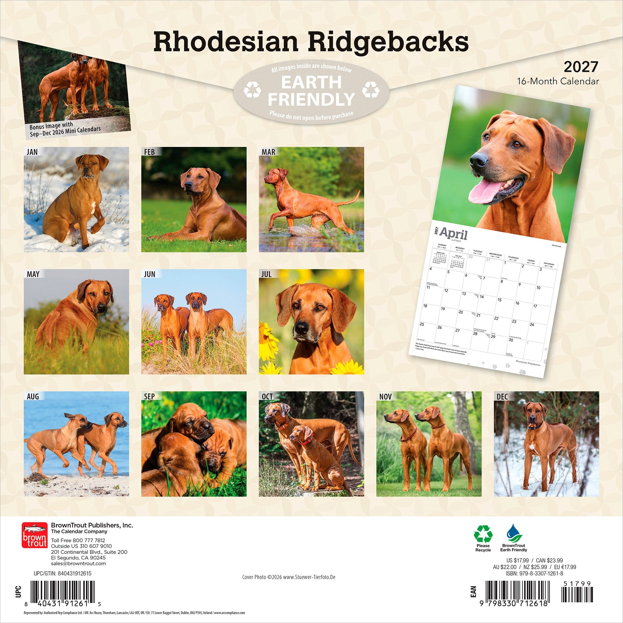 Rhodesian Ridgebacks 2027 Wall Calendar