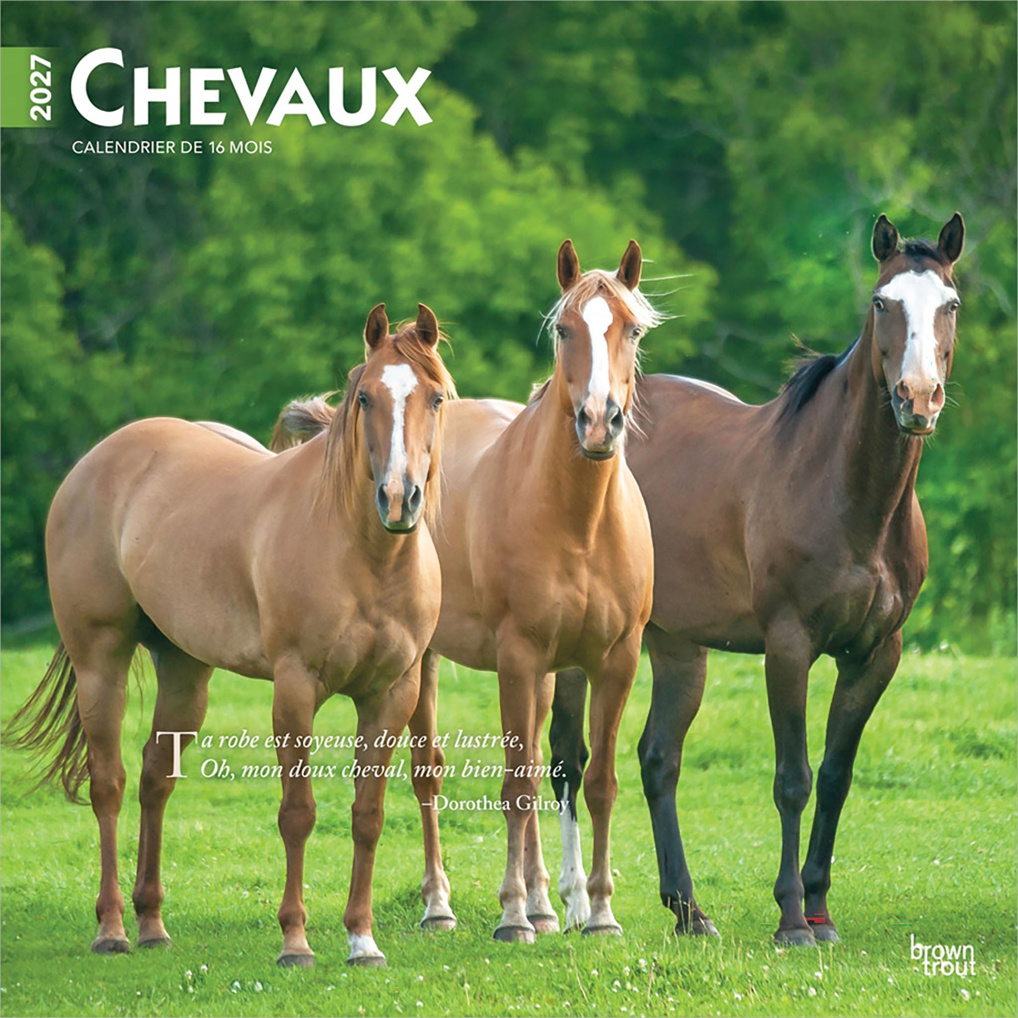 Chevaux 2027 Wall Calendar (French)